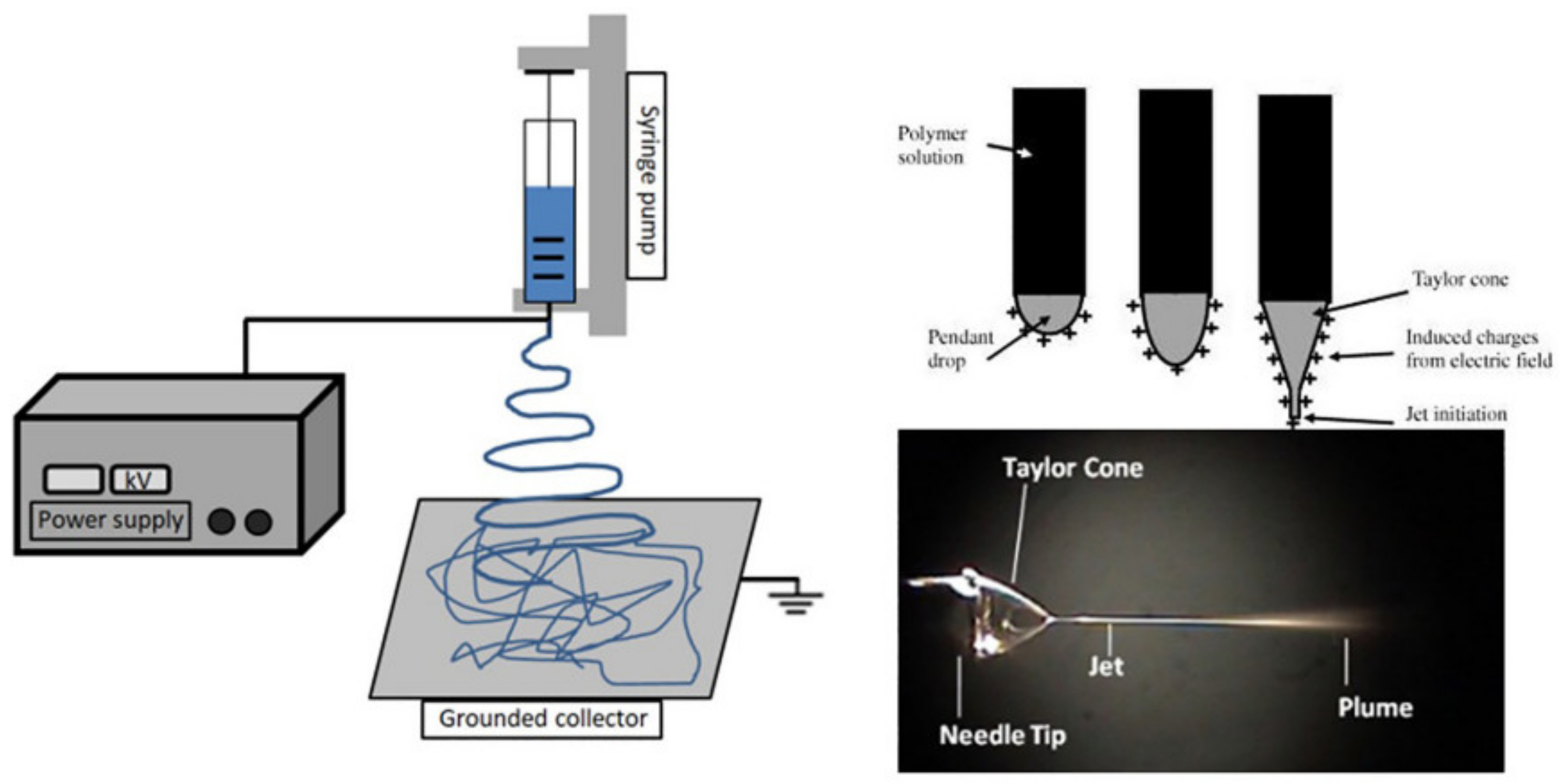 Polymers 14 00951 g004 Polymers 14 00951 g004