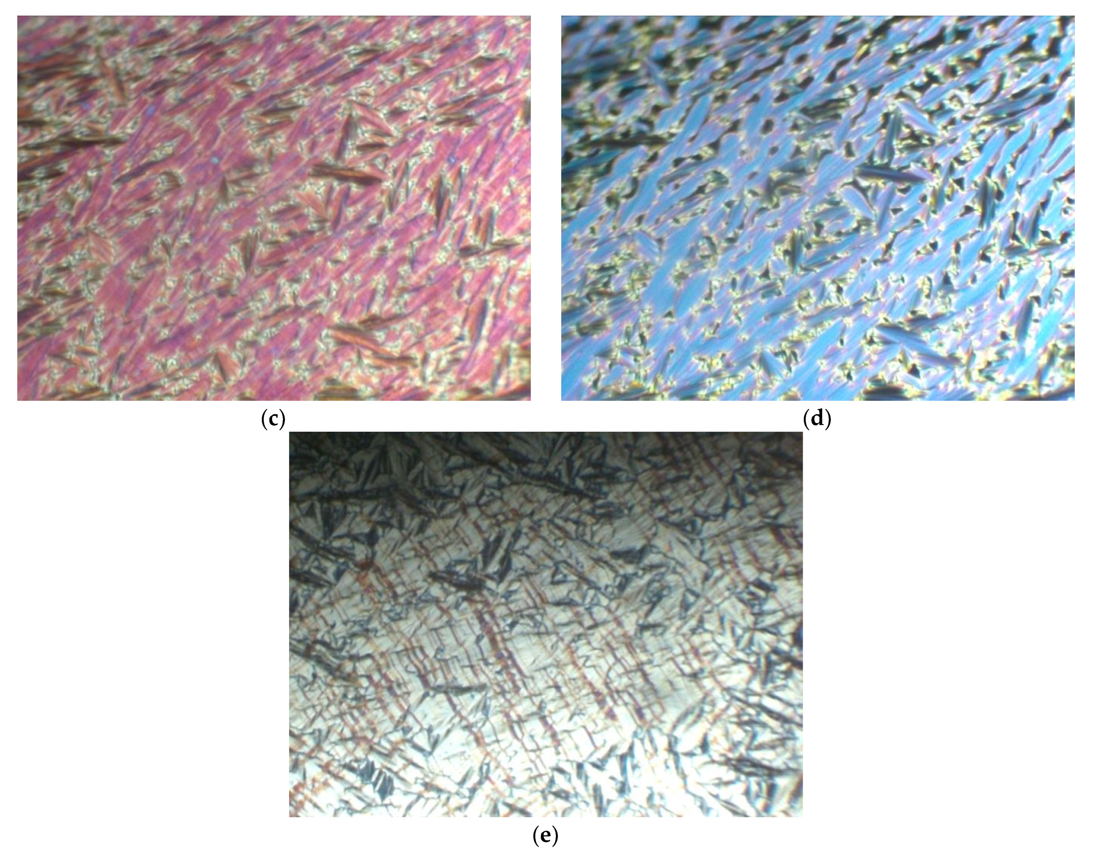 Polymers 14 00956 g003b 550