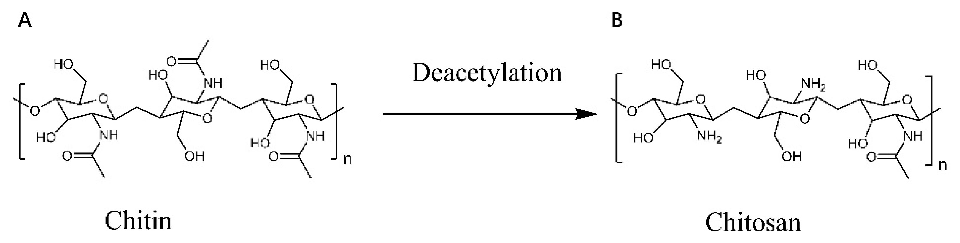 Polymers 14 00958 g001