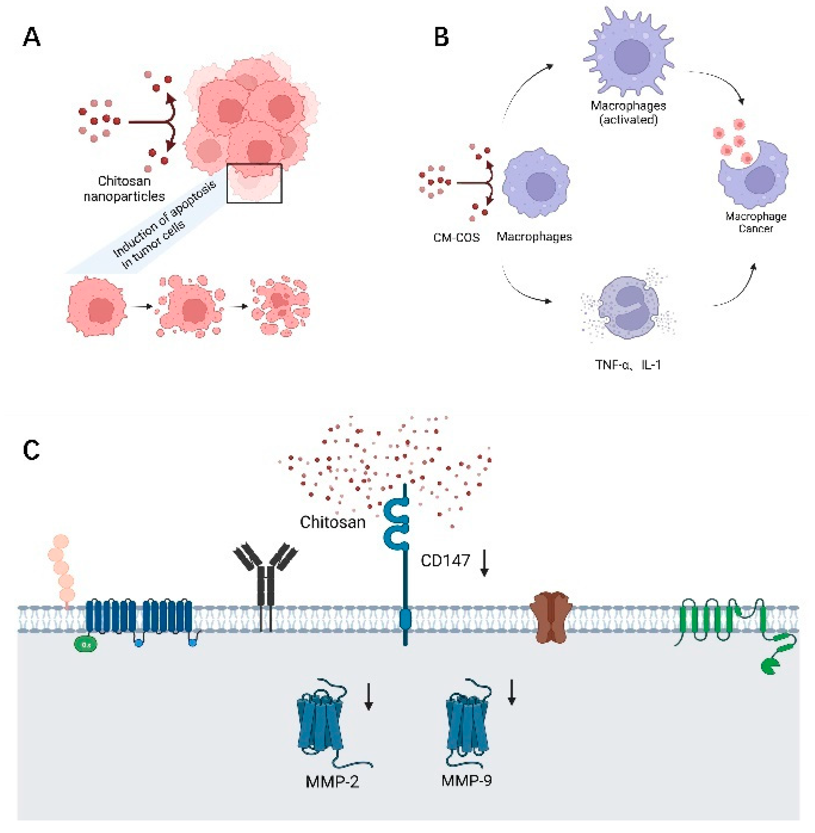 Polymers 14 00958 g005