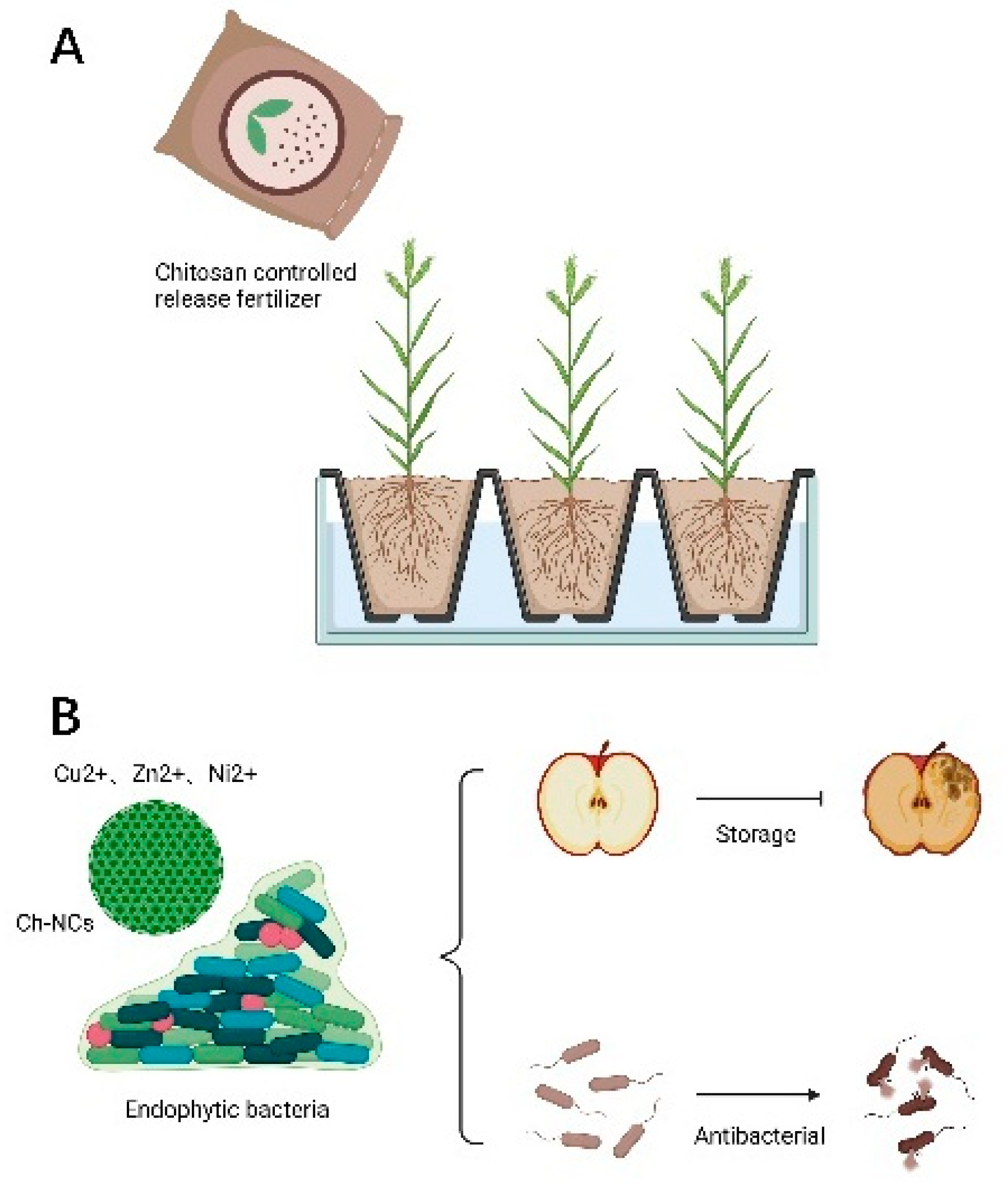 Polymers 14 00958 g007