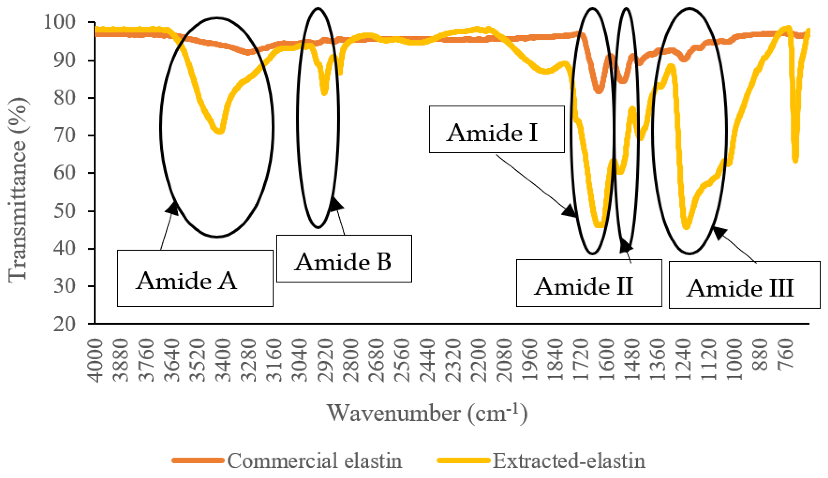 Polymers 14 00963 g002 Polymers 14 00963 g002