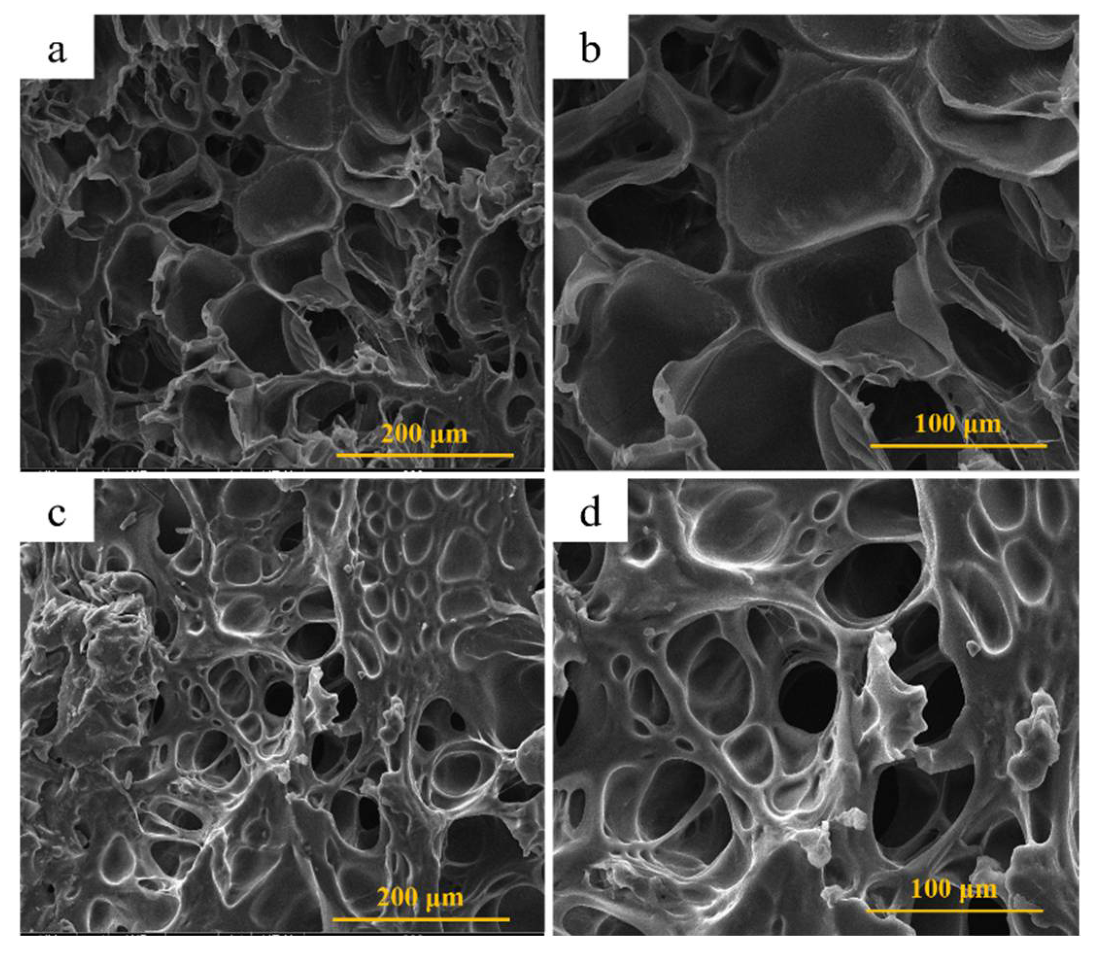 Polymers 14 00966 g003