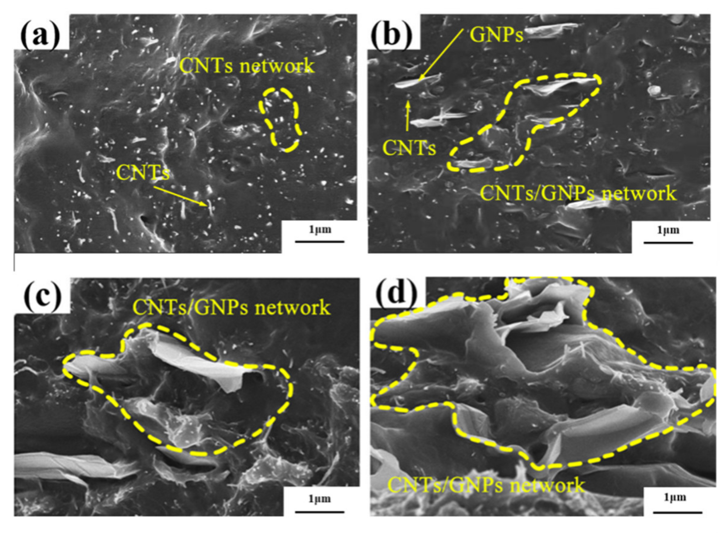 Polymers 14 00970 g001