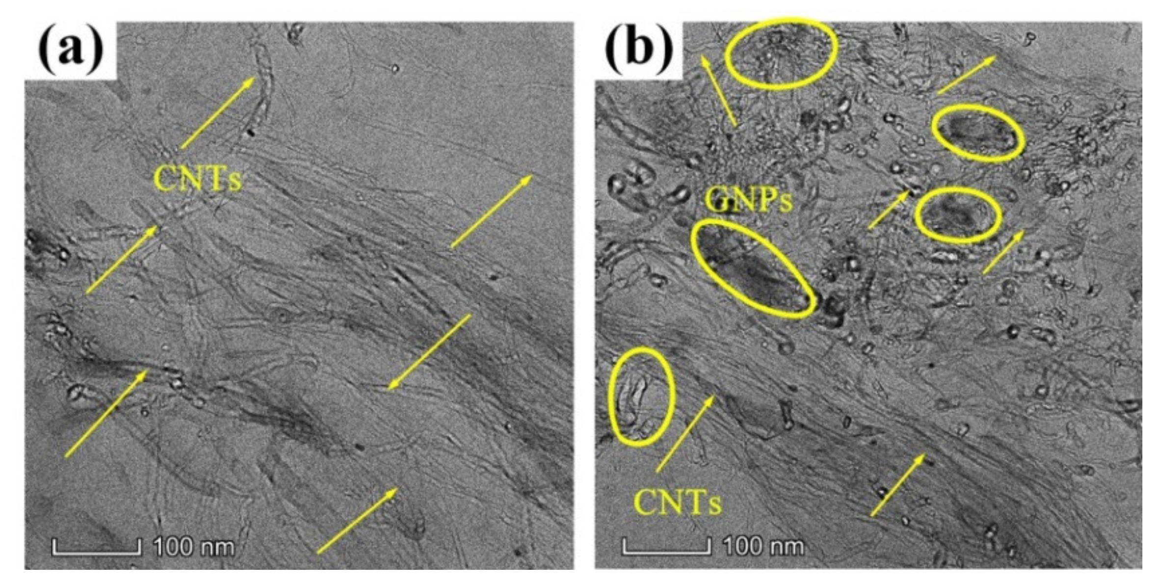 Polymers 14 00970 g002