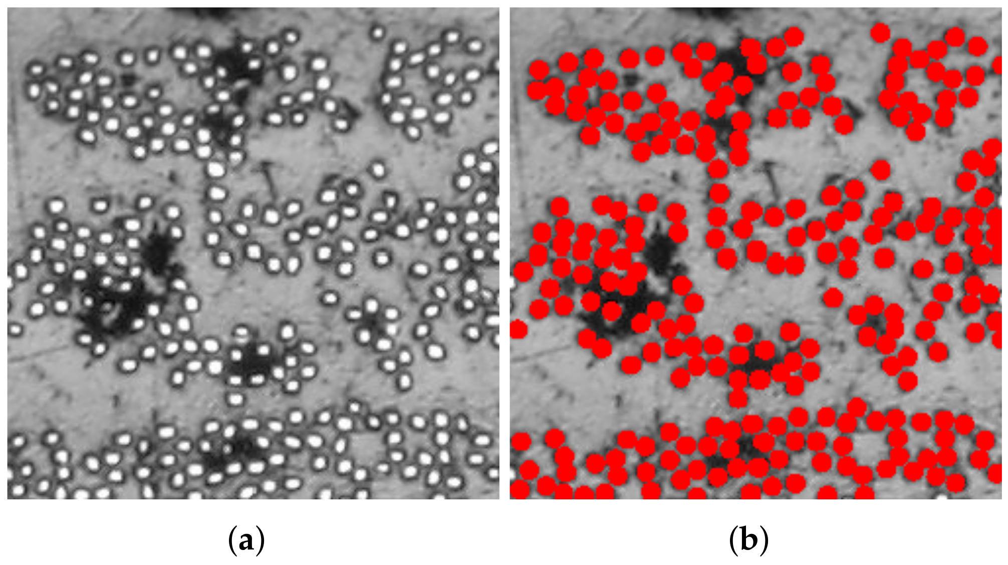 Polymers 14 00972 g008