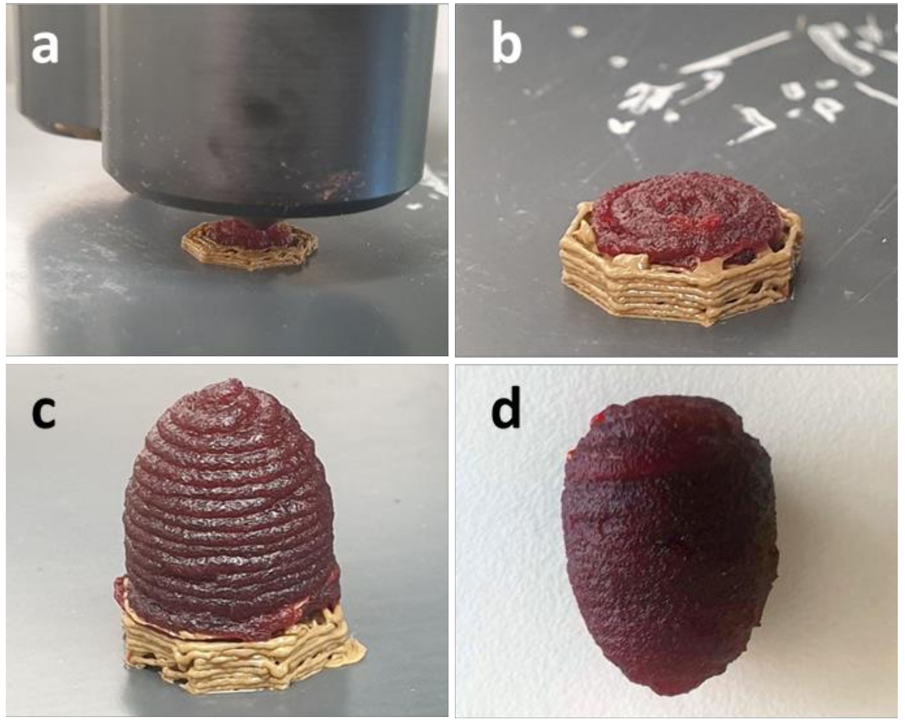 Polymers 14 00974 g006 550