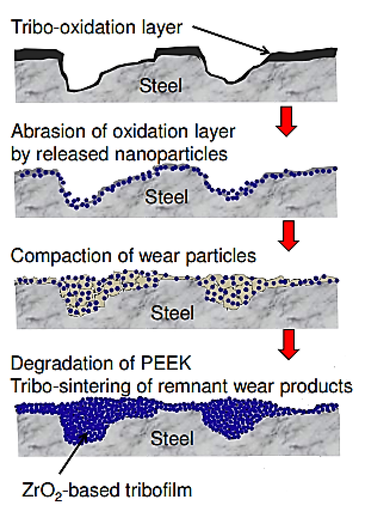 Polymers 14 00975 g015 Polymers 14 00975 g015