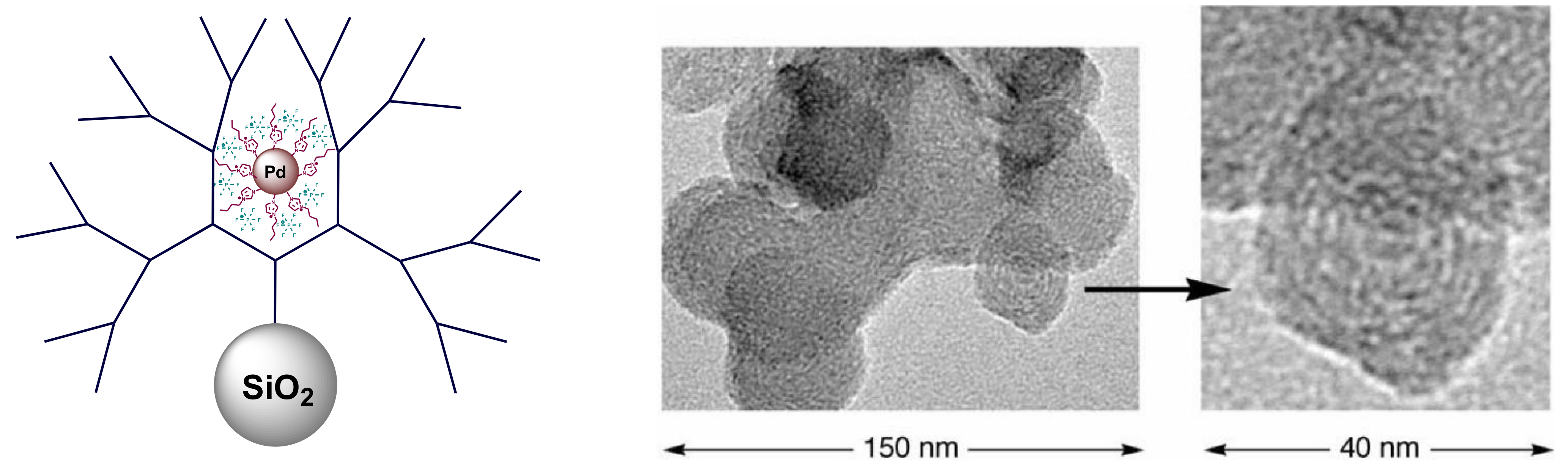 Polymers 14 00981 g017 Polymers 14 00981 g017