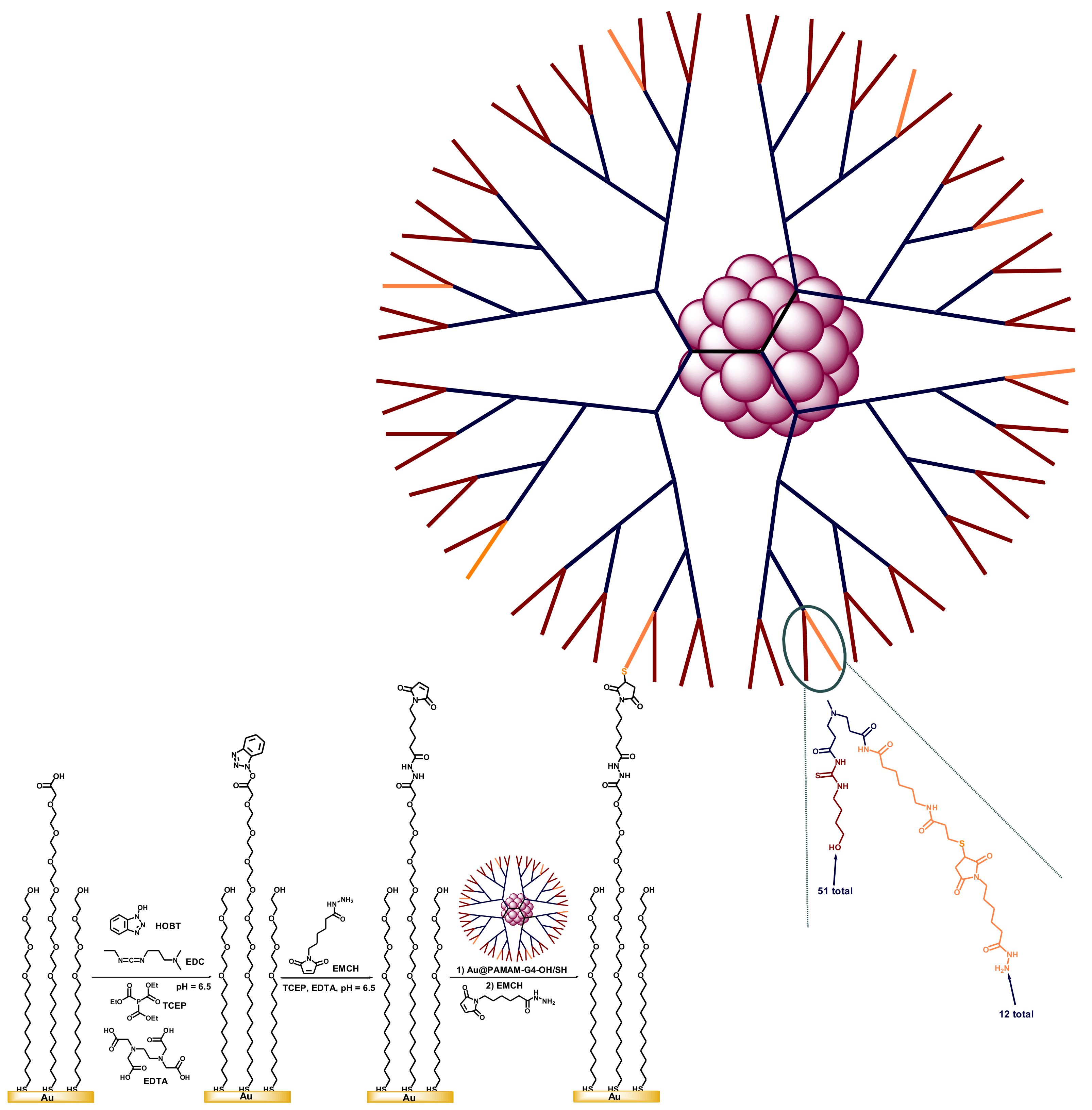Polymers 14 00981 sch010 Polymers 14 00981 sch010