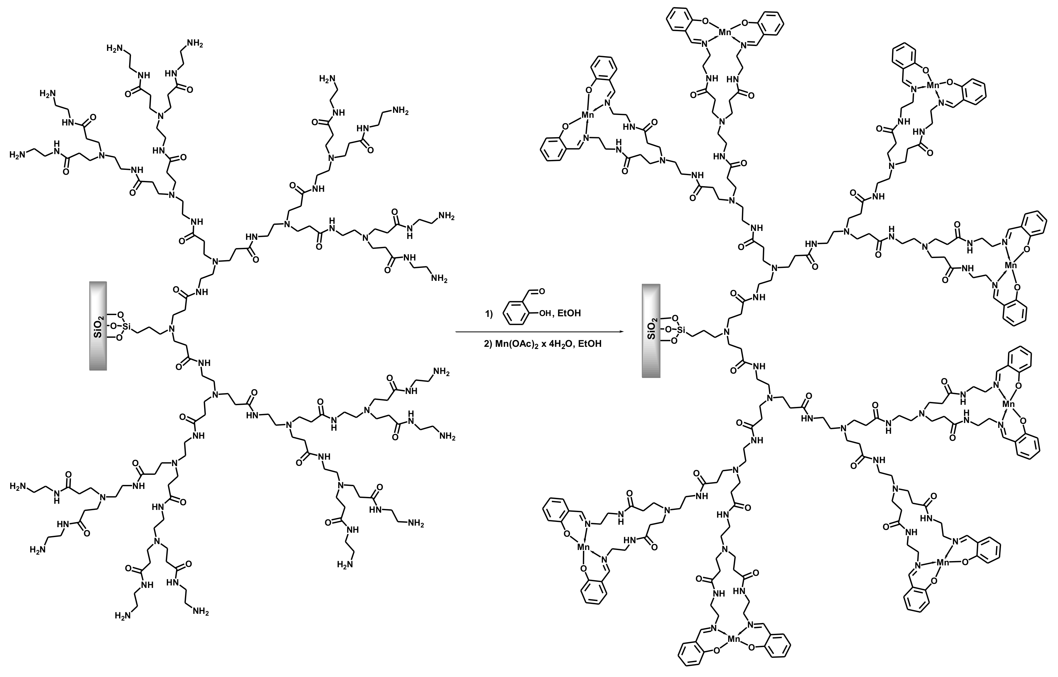Polymers 14 00981 sch012 Polymers 14 00981 sch012