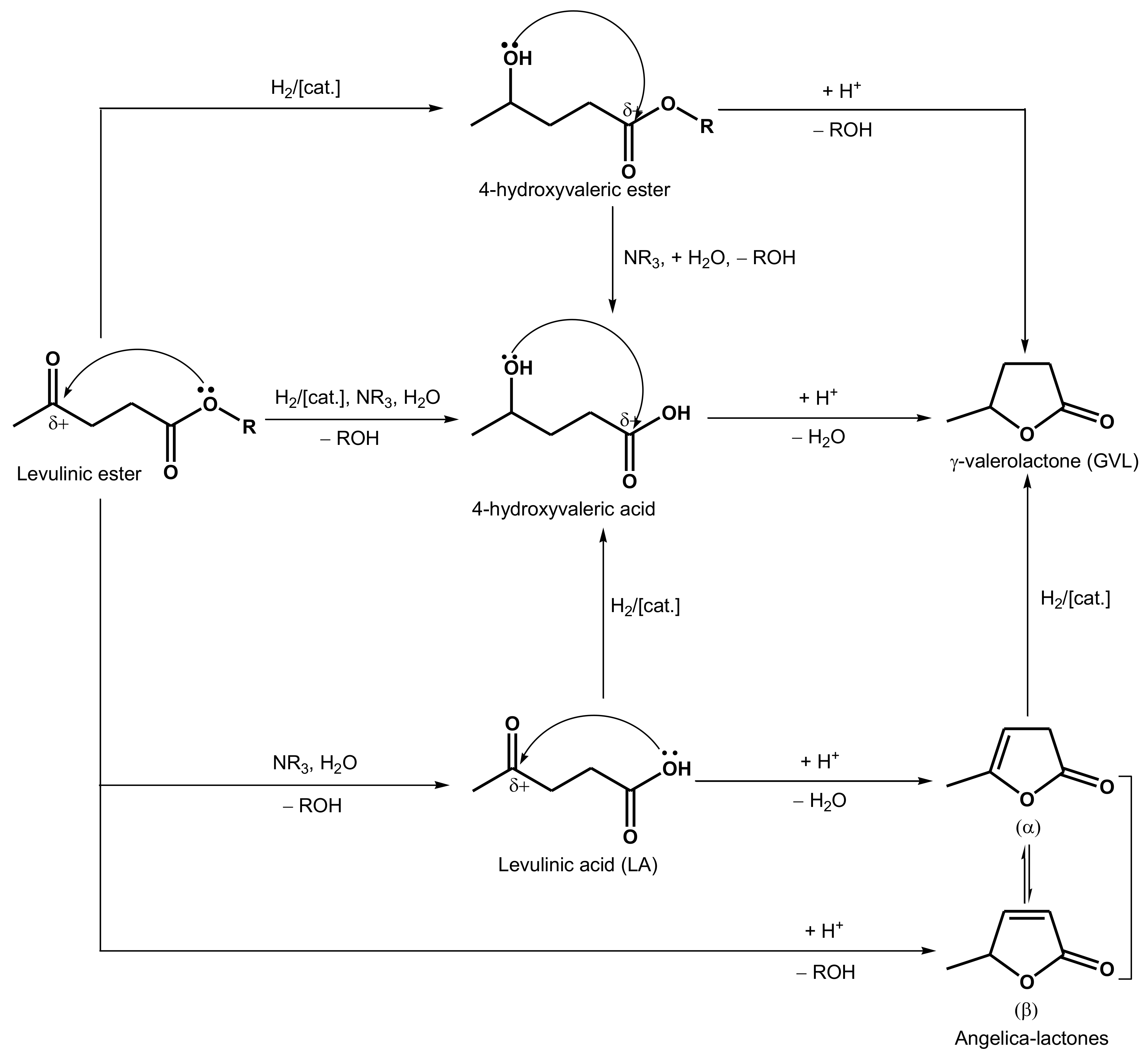 Polymers 14 00981 sch049 Polymers 14 00981 sch049