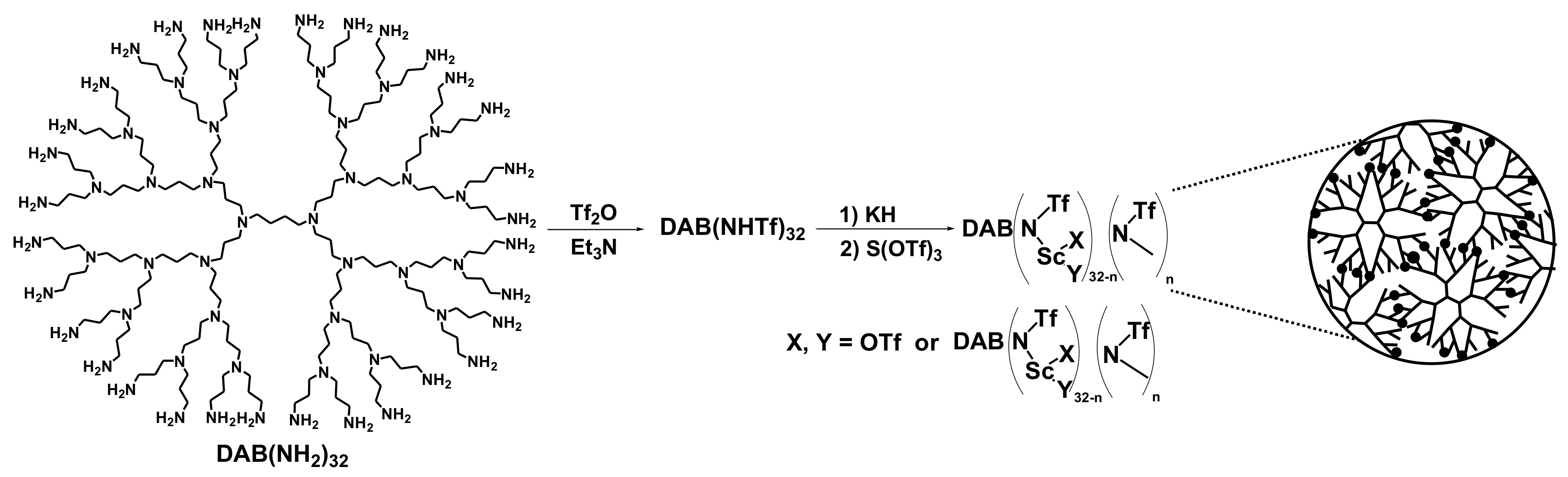 Polymers 14 00981 sch051 Polymers 14 00981 sch051
