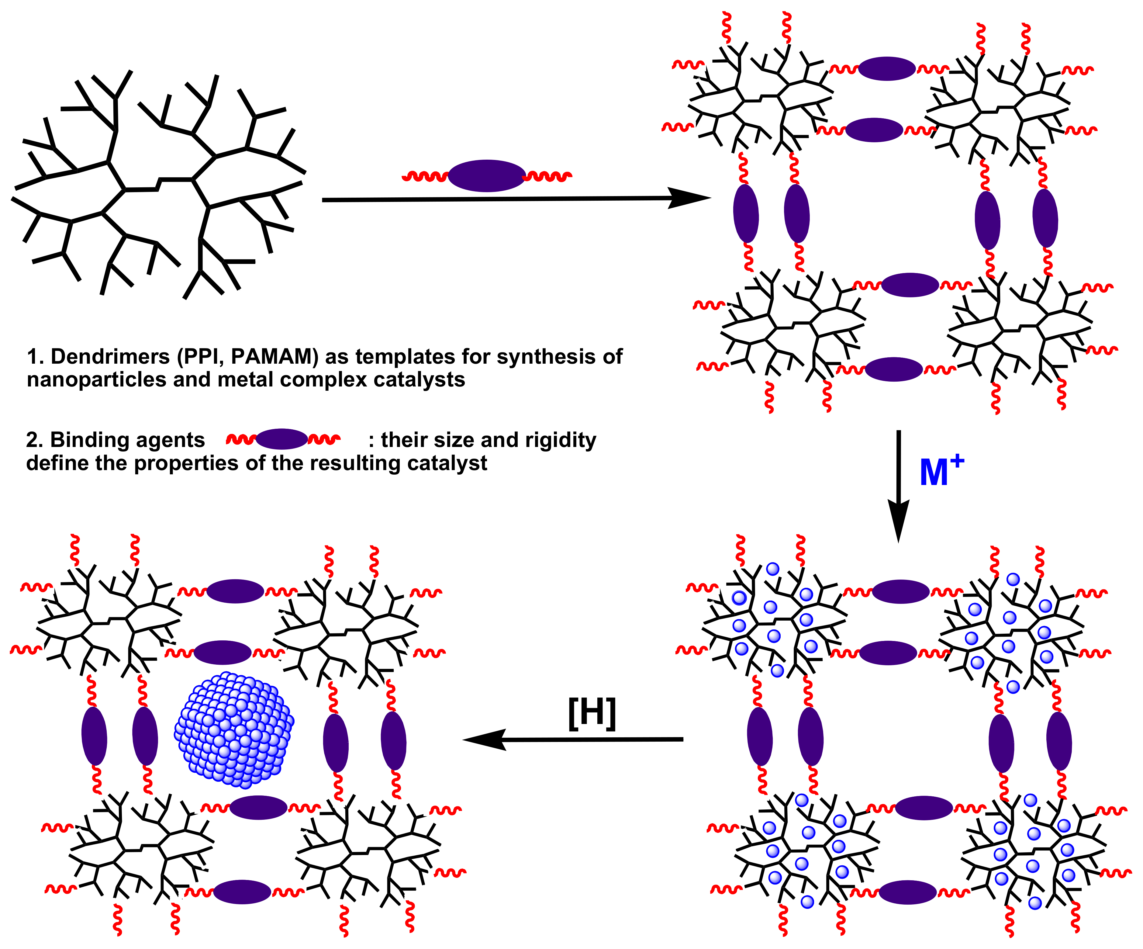 Polymers 14 00981 sch054 Polymers 14 00981 sch054