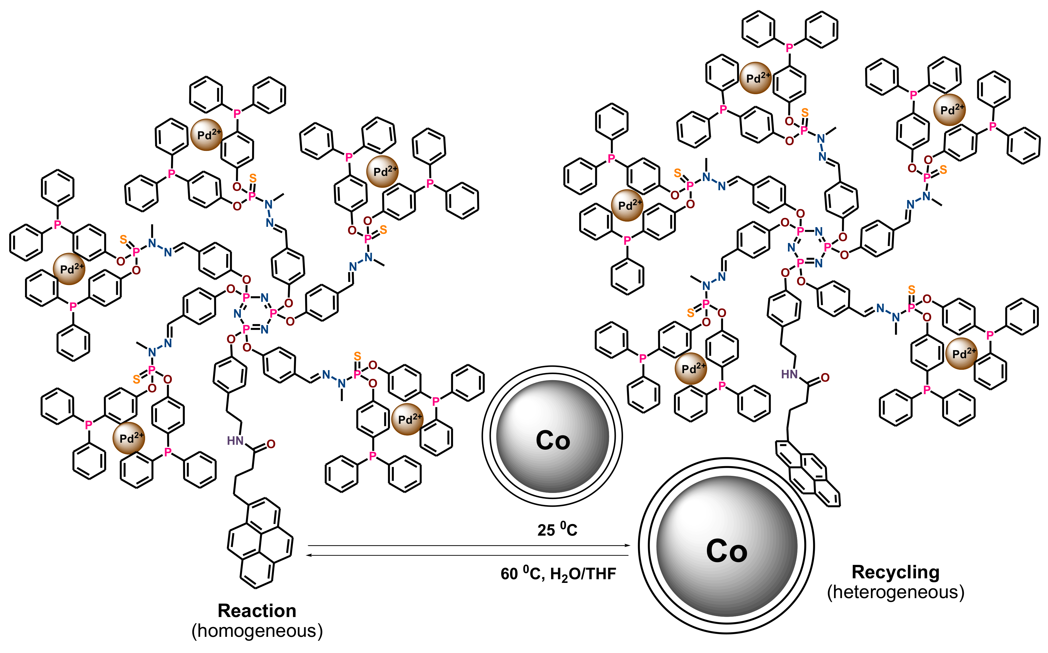 Polymers 14 00981 sch064 Polymers 14 00981 sch064