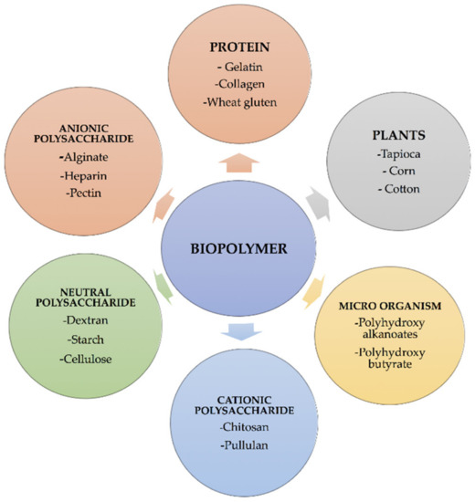 Biopolymers Are Made Of Green Materials That Are Generated By Biopolymer: A Sustainable Material for Food and Medical Applications