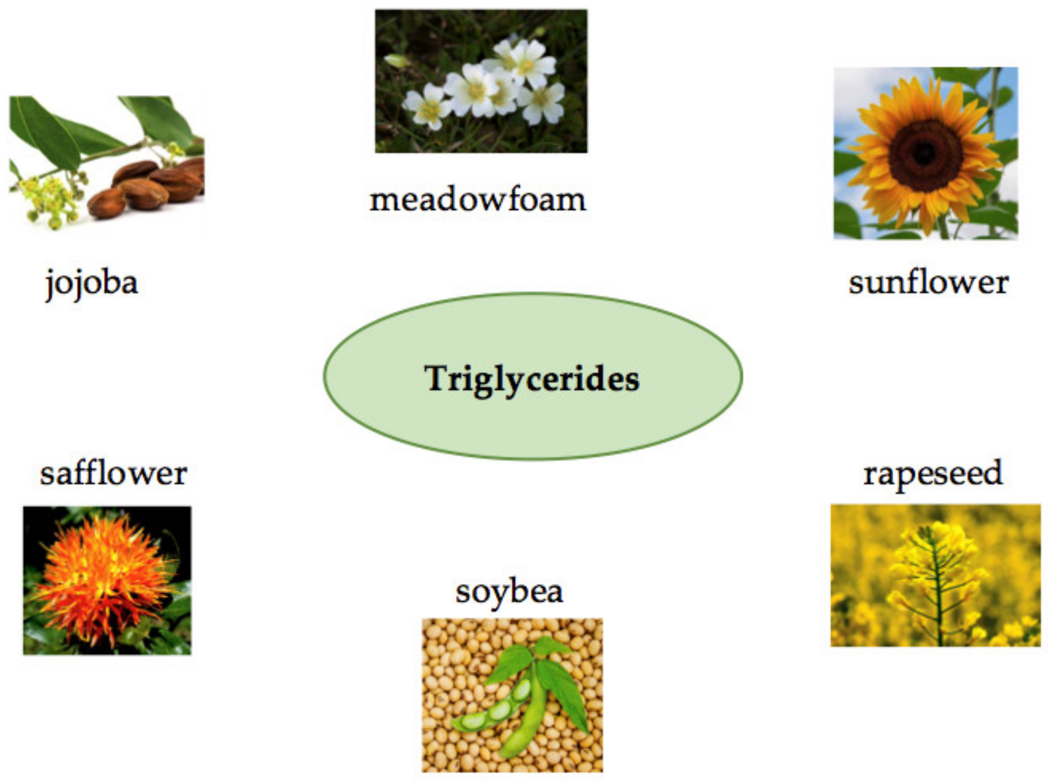 Polymers 14 00983 g003