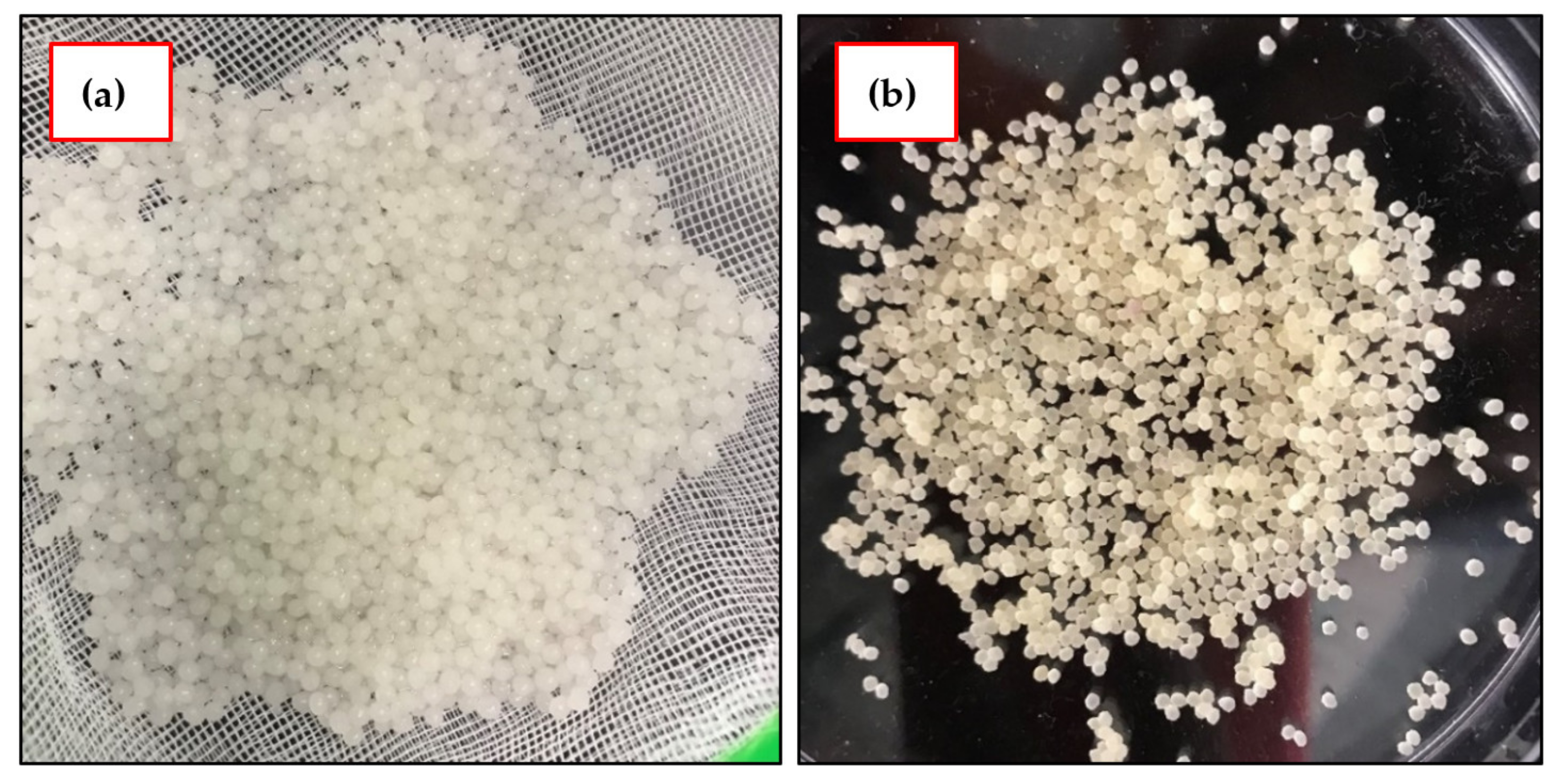 Polymers 14 00984 g003