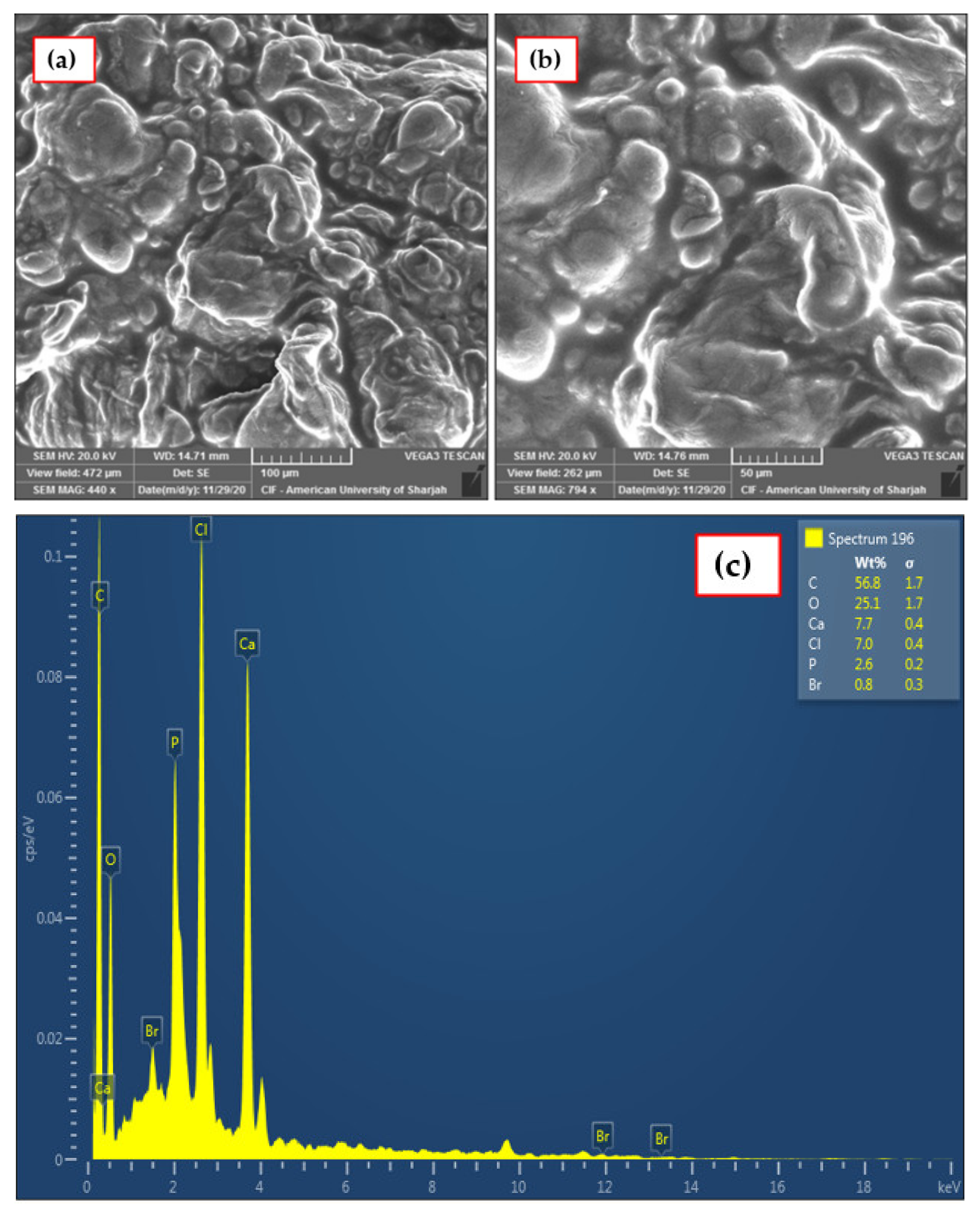 Polymers 14 00984 g006