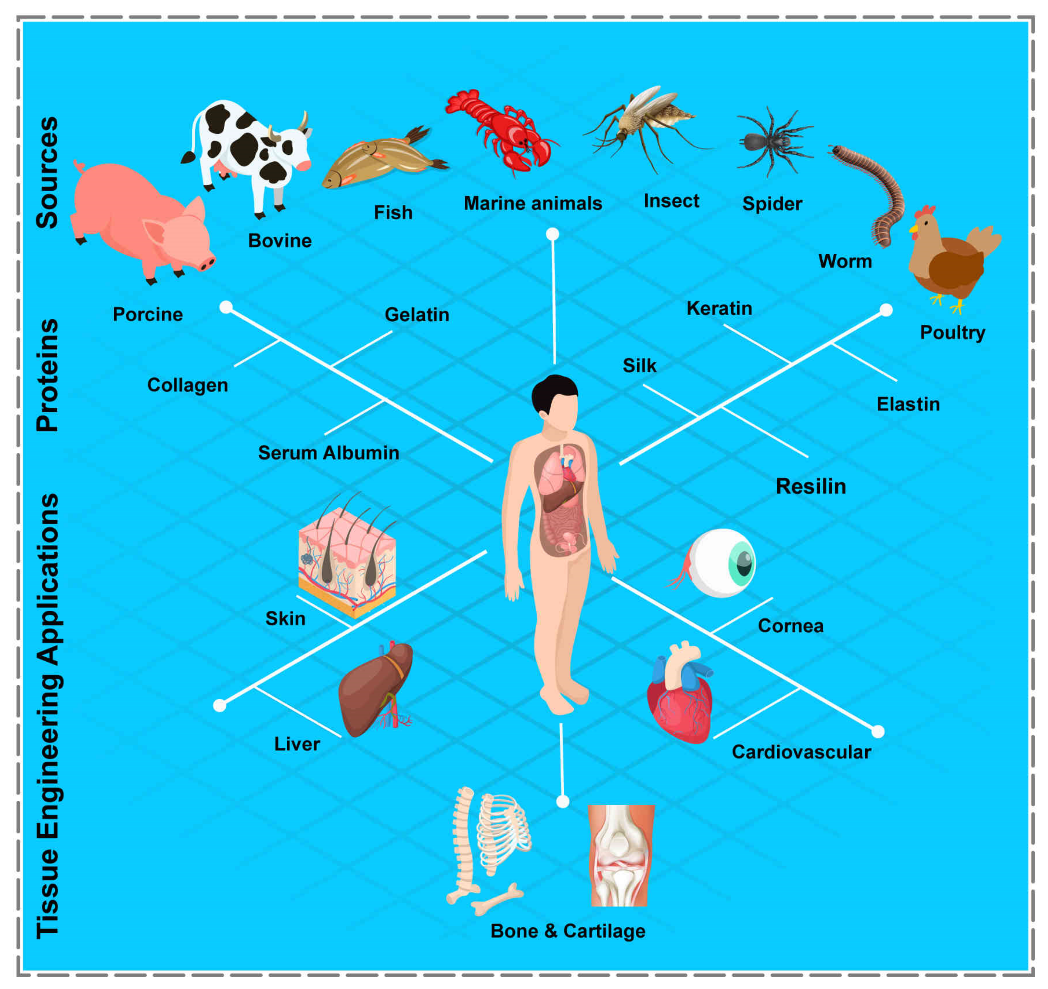 Polymers 14 00986 g002
