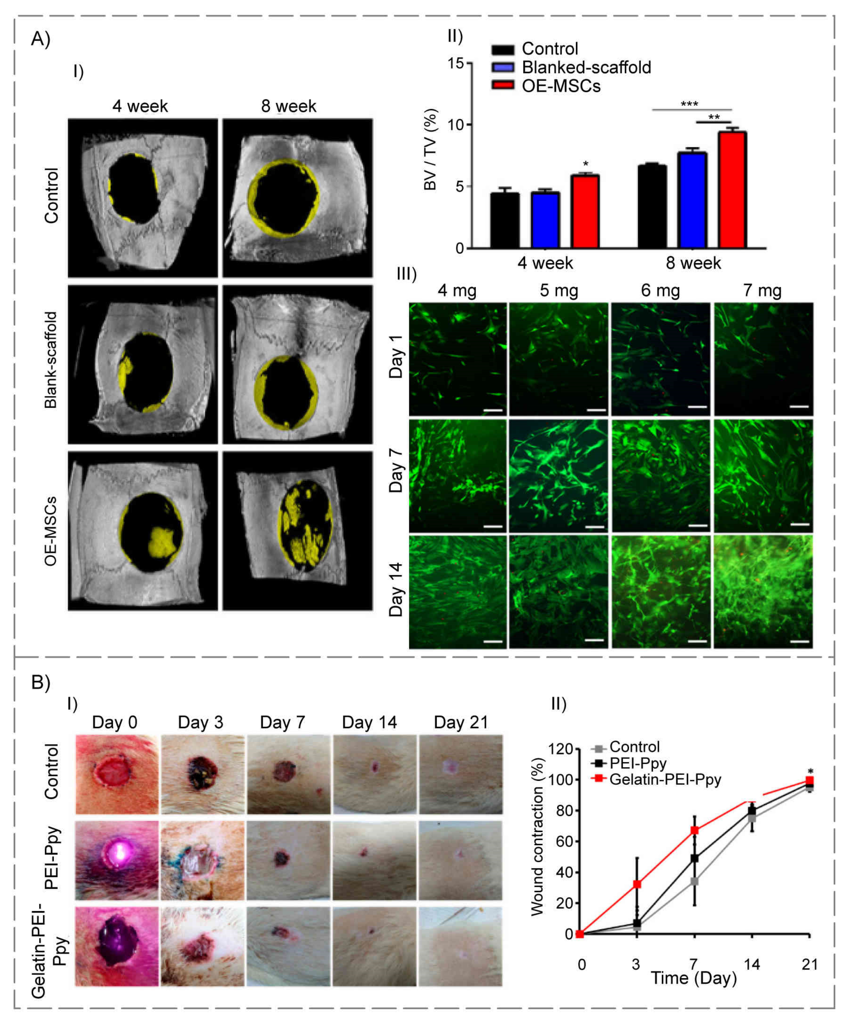 Polymers 14 00986 g003