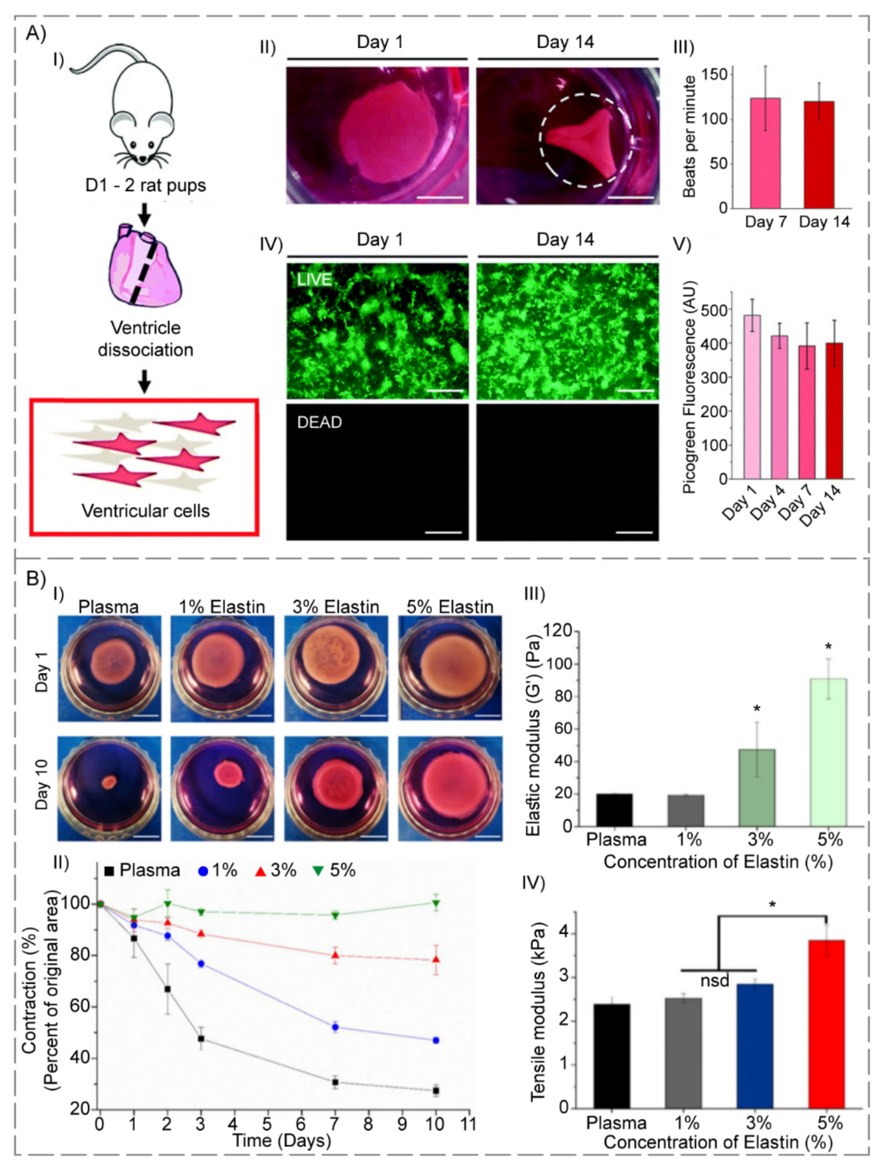 Polymers 14 00986 g004