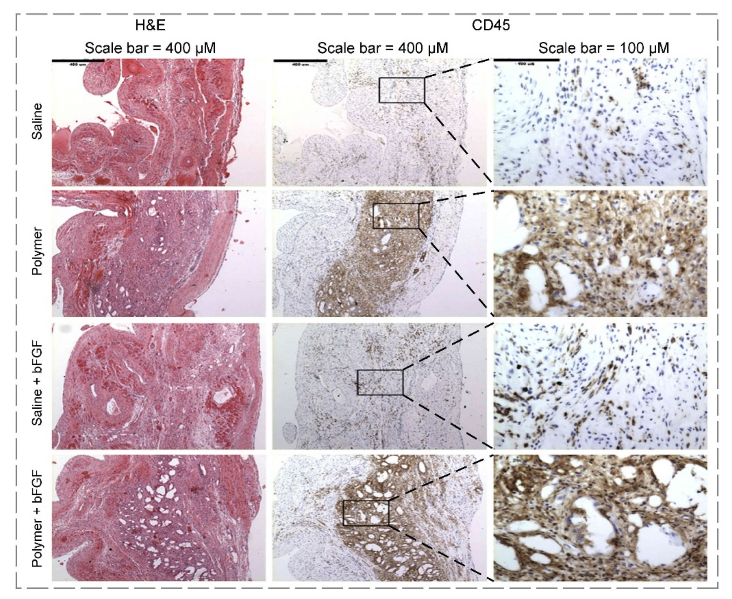 Polymers 14 00986 g007