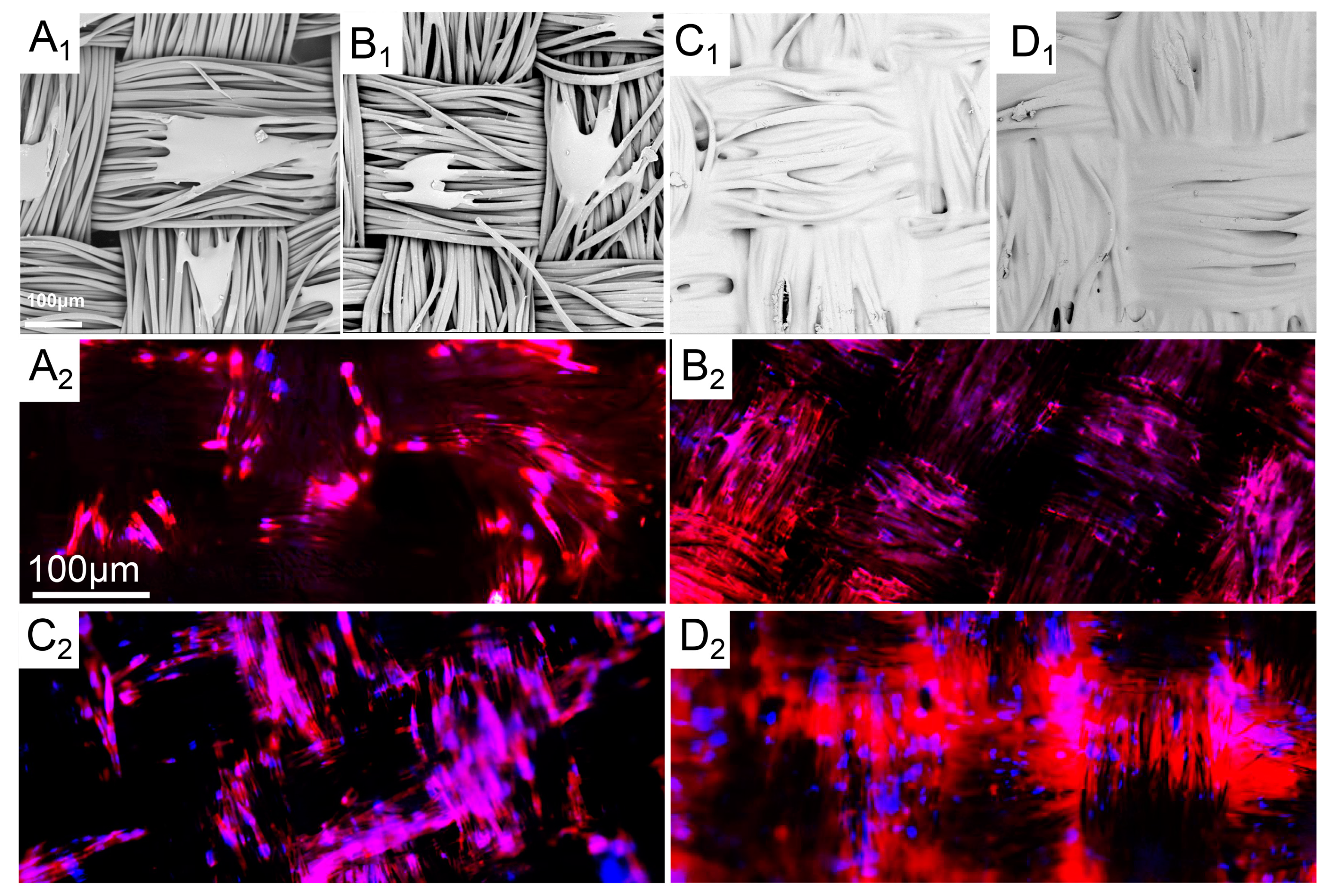 Polymers 14 00989 g007 550