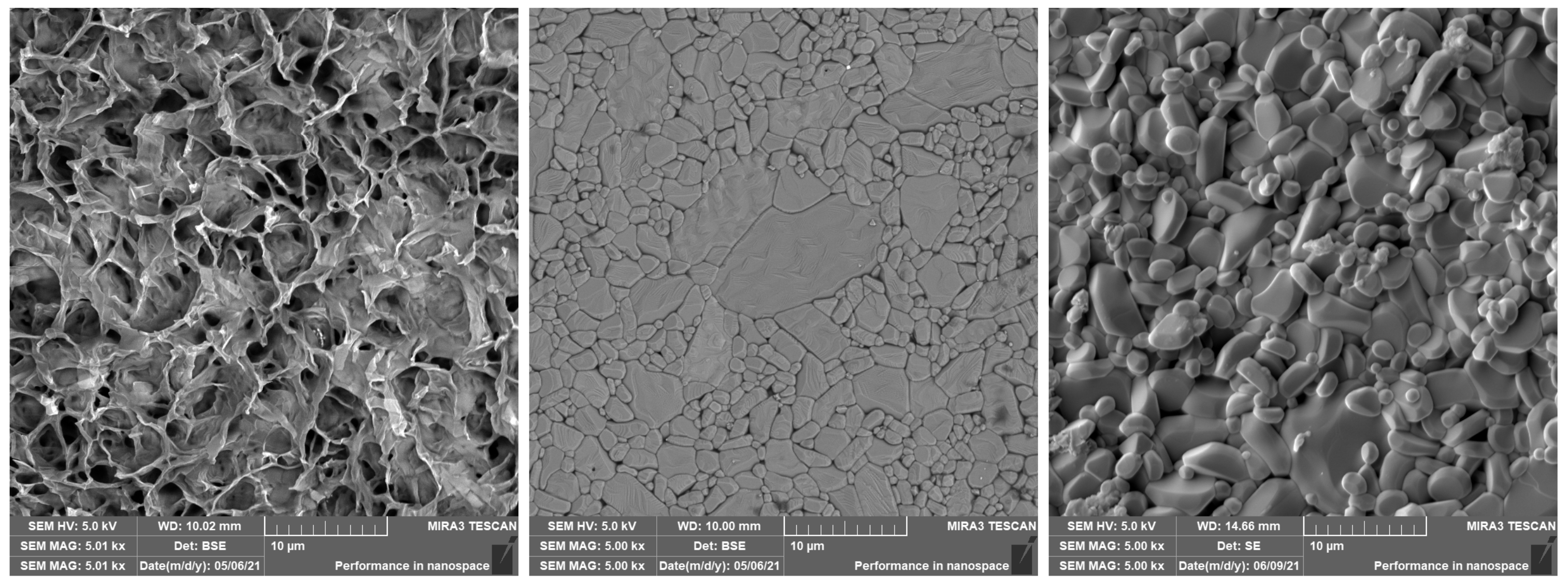 Polymers 14 00991 g007