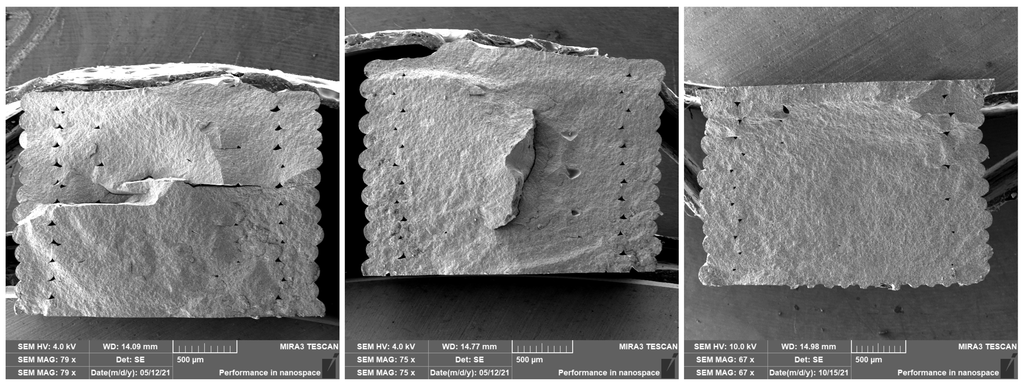 Polymers 14 00991 g009