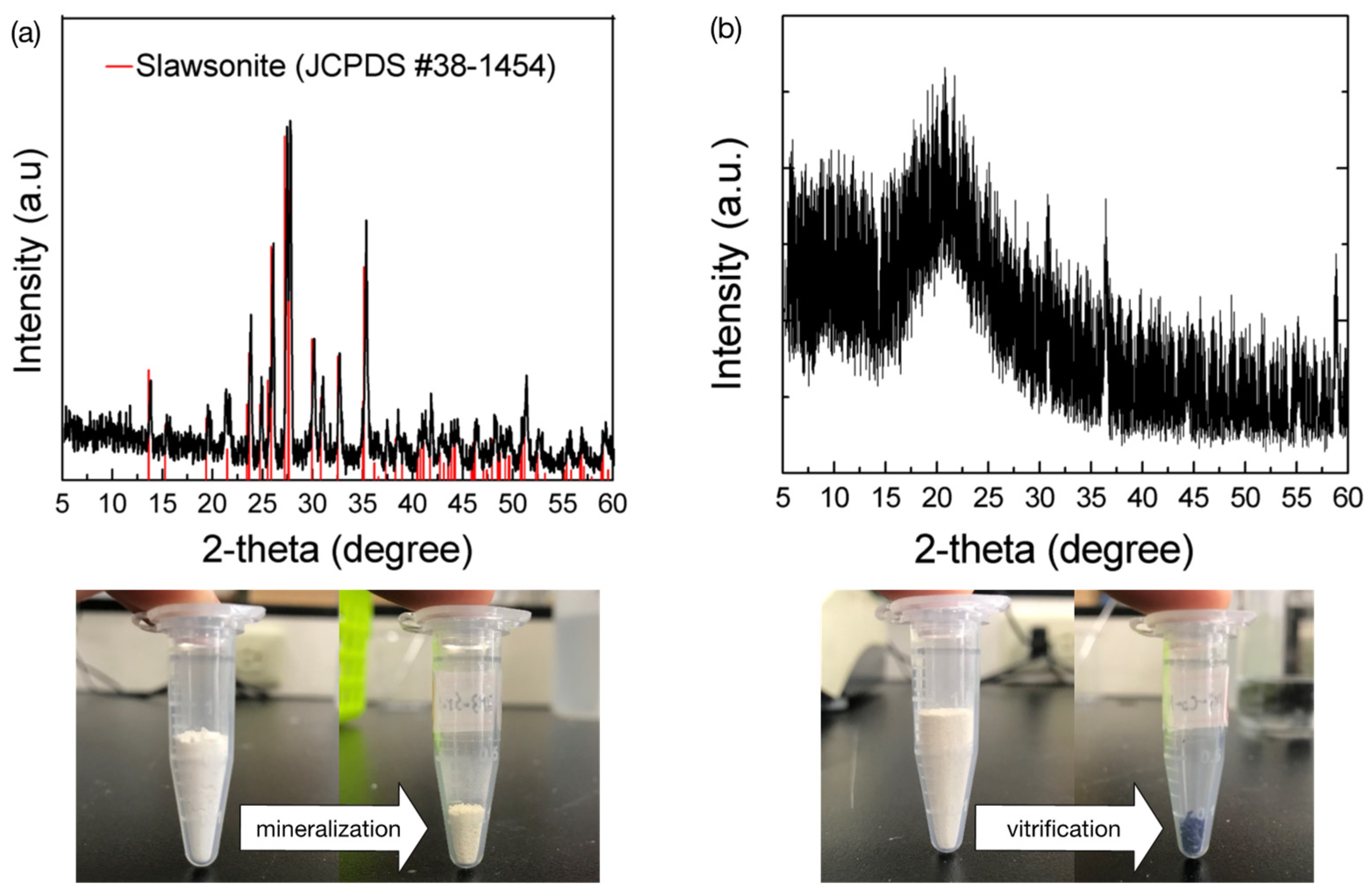 Polymers 14 00992 g009
