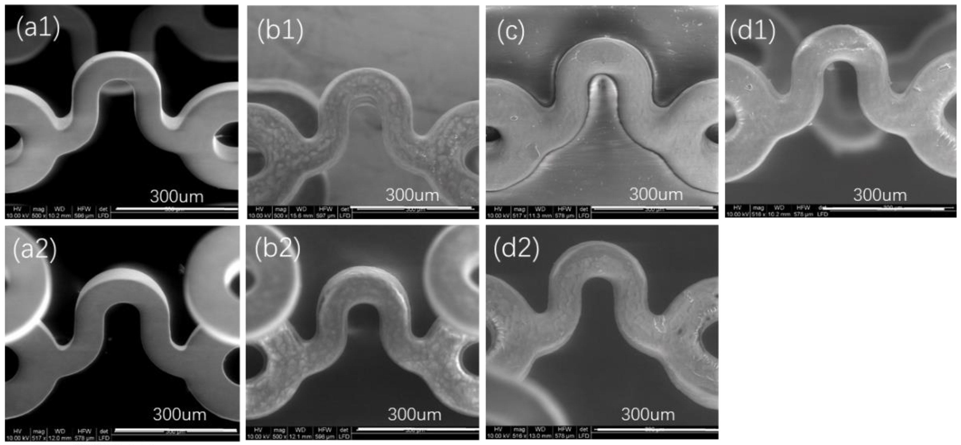 Polymers 14 00994 g003