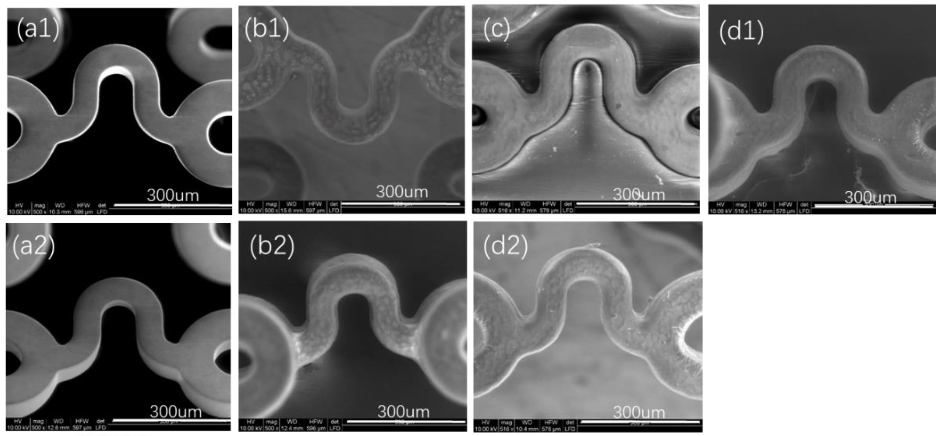 Polymers 14 00994 g004