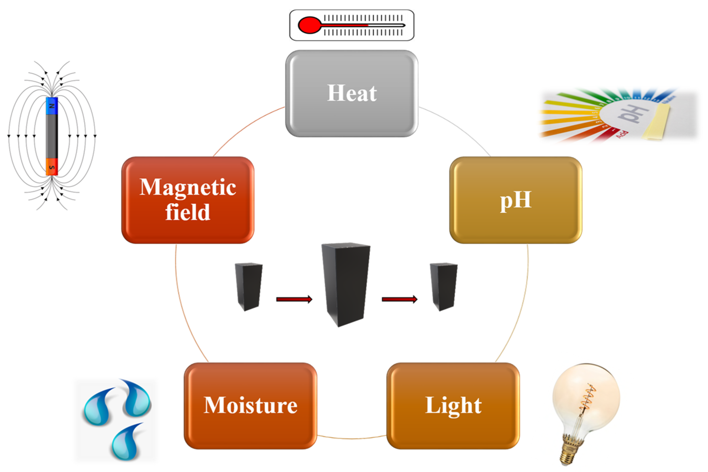 PDF) Thermaly Active Structures for Shape Morphing Applications