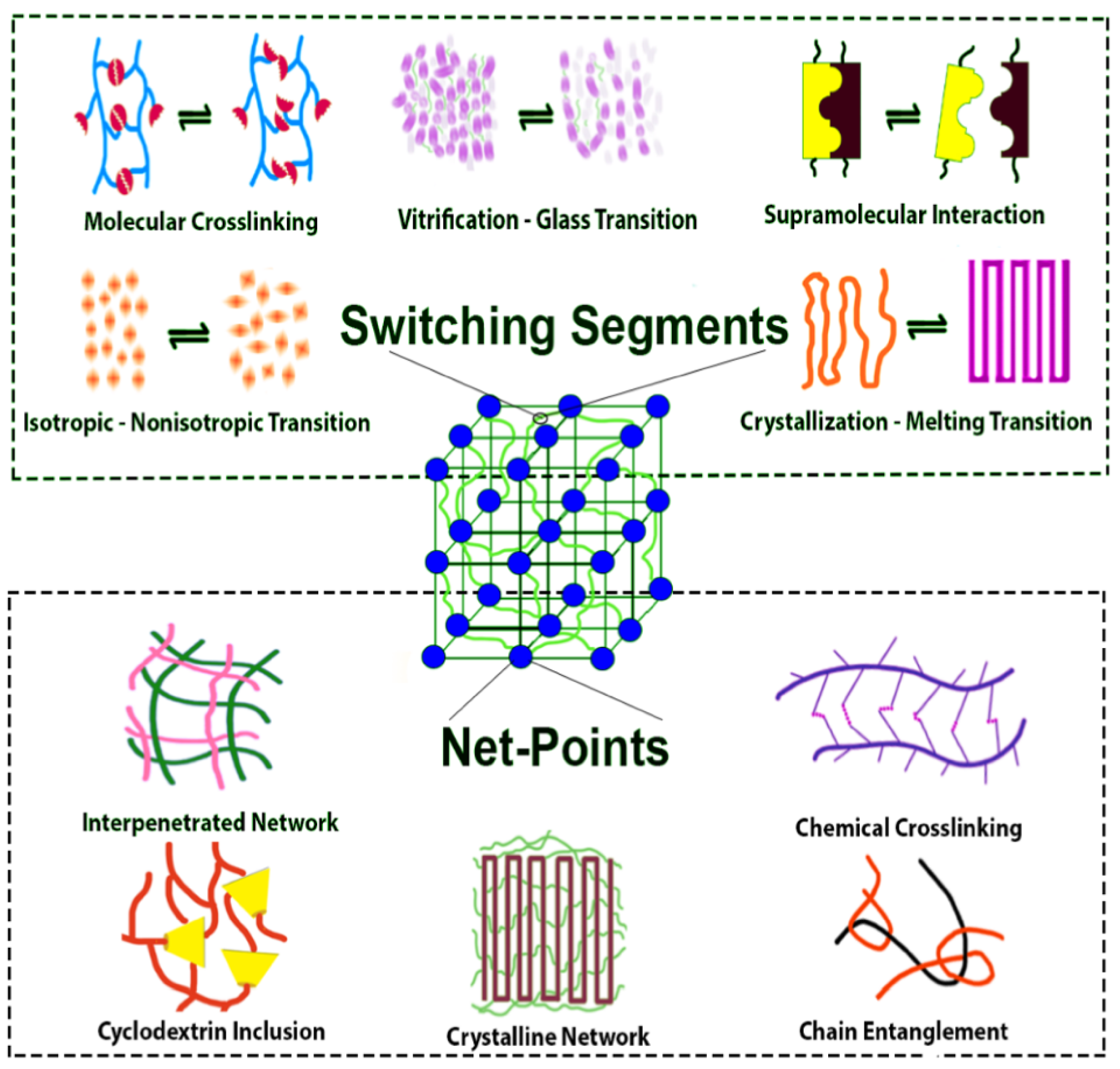 Polymers 14 00995 g002