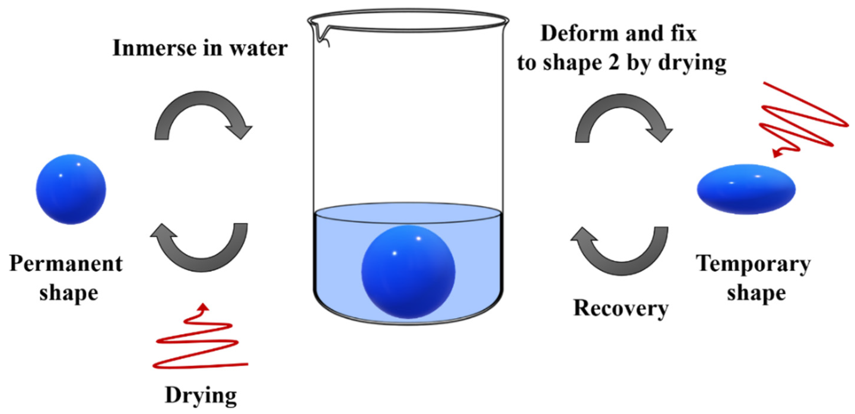Polymers 14 00995 g008