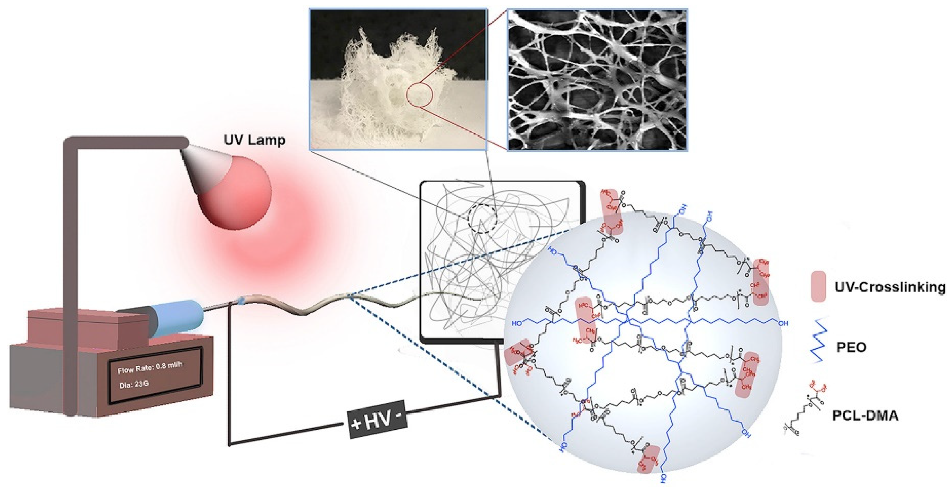 Polymers 14 00995 g015
