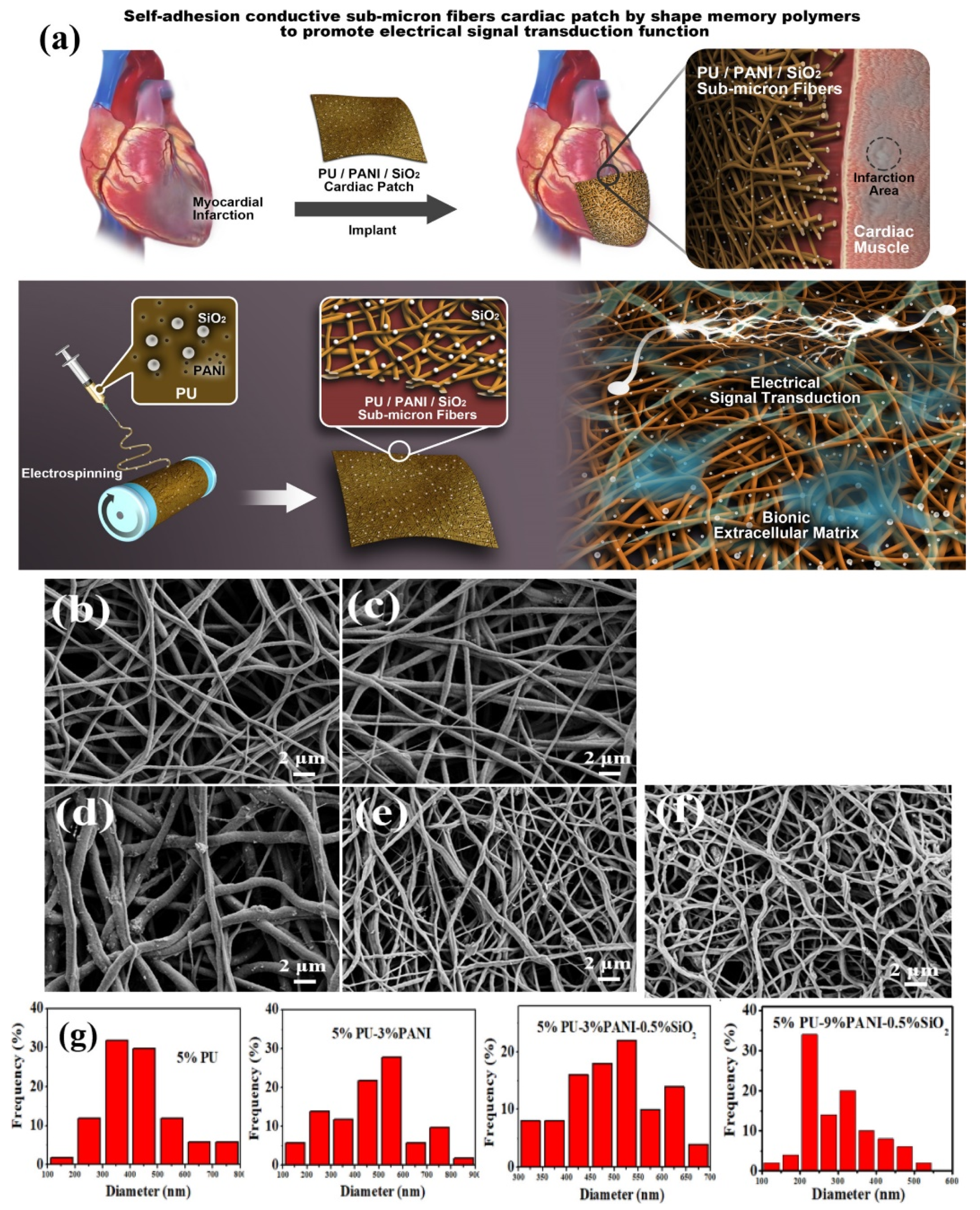 Polymers 14 00995 g016