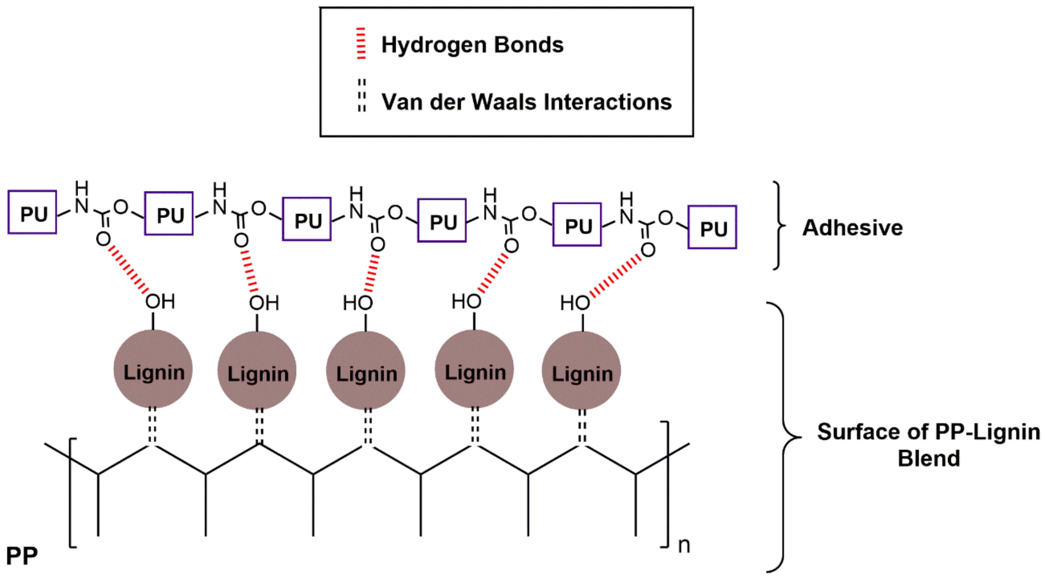 Polymers 14 00999 g007