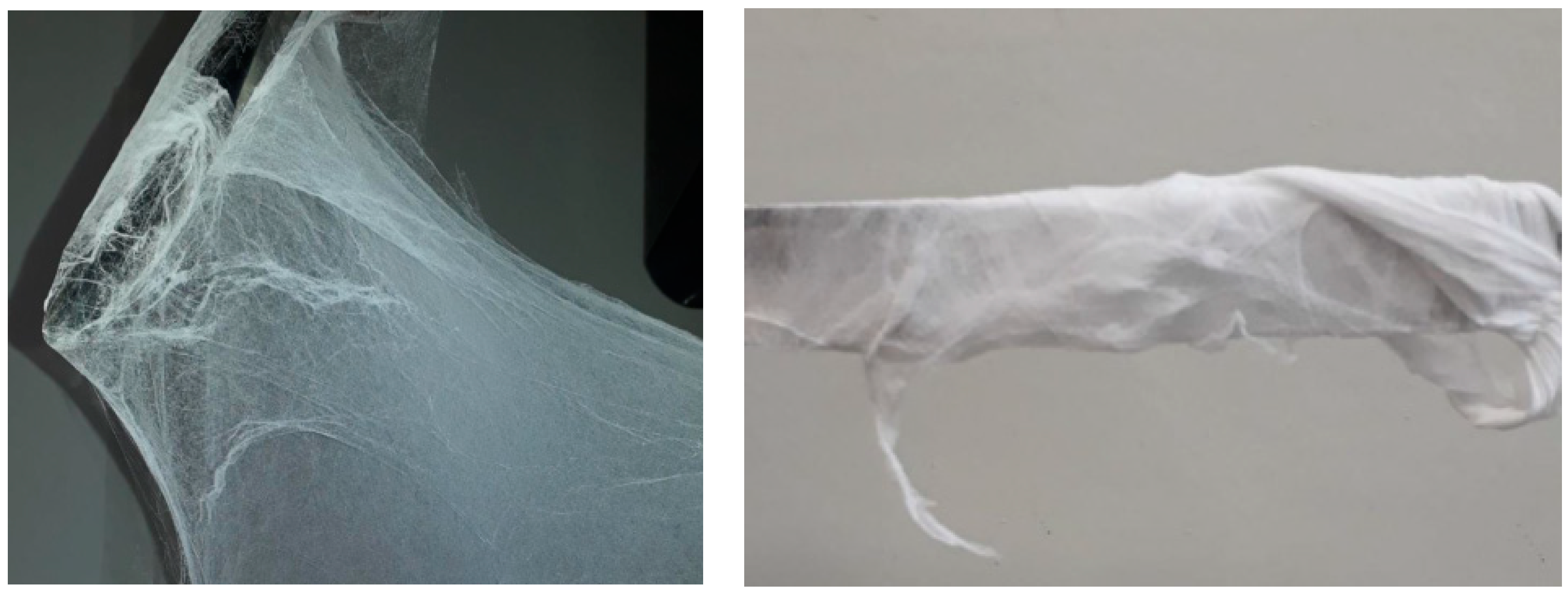 Polymers 14 01000 g001 Polymers 14 01000 g001