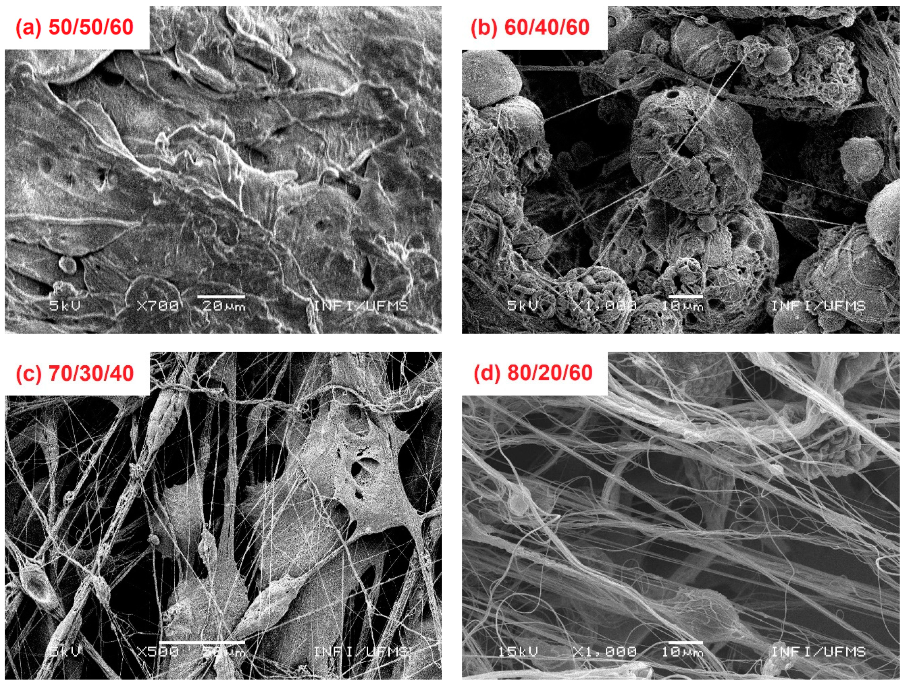 Polymers 14 01000 g002 Polymers 14 01000 g002