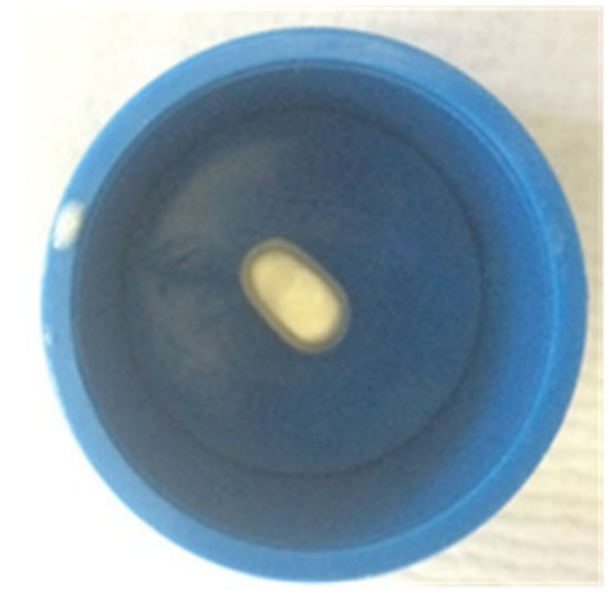 Polymers 14 01001 g001 550