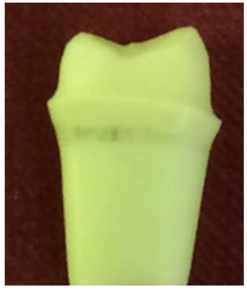 Polymers 14 01001 g004 550