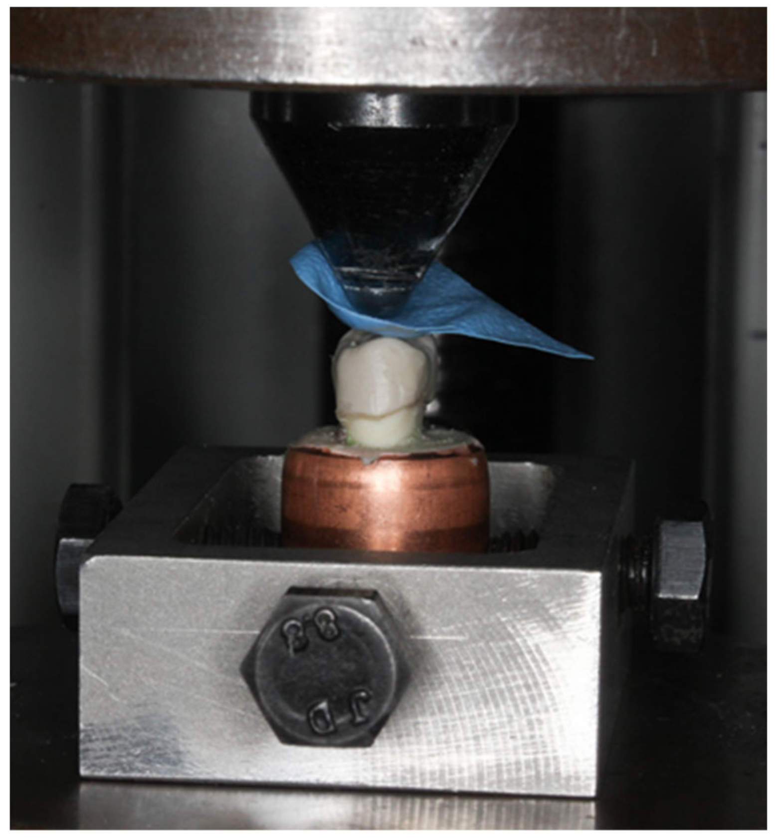 Polymers 14 01001 g012 550