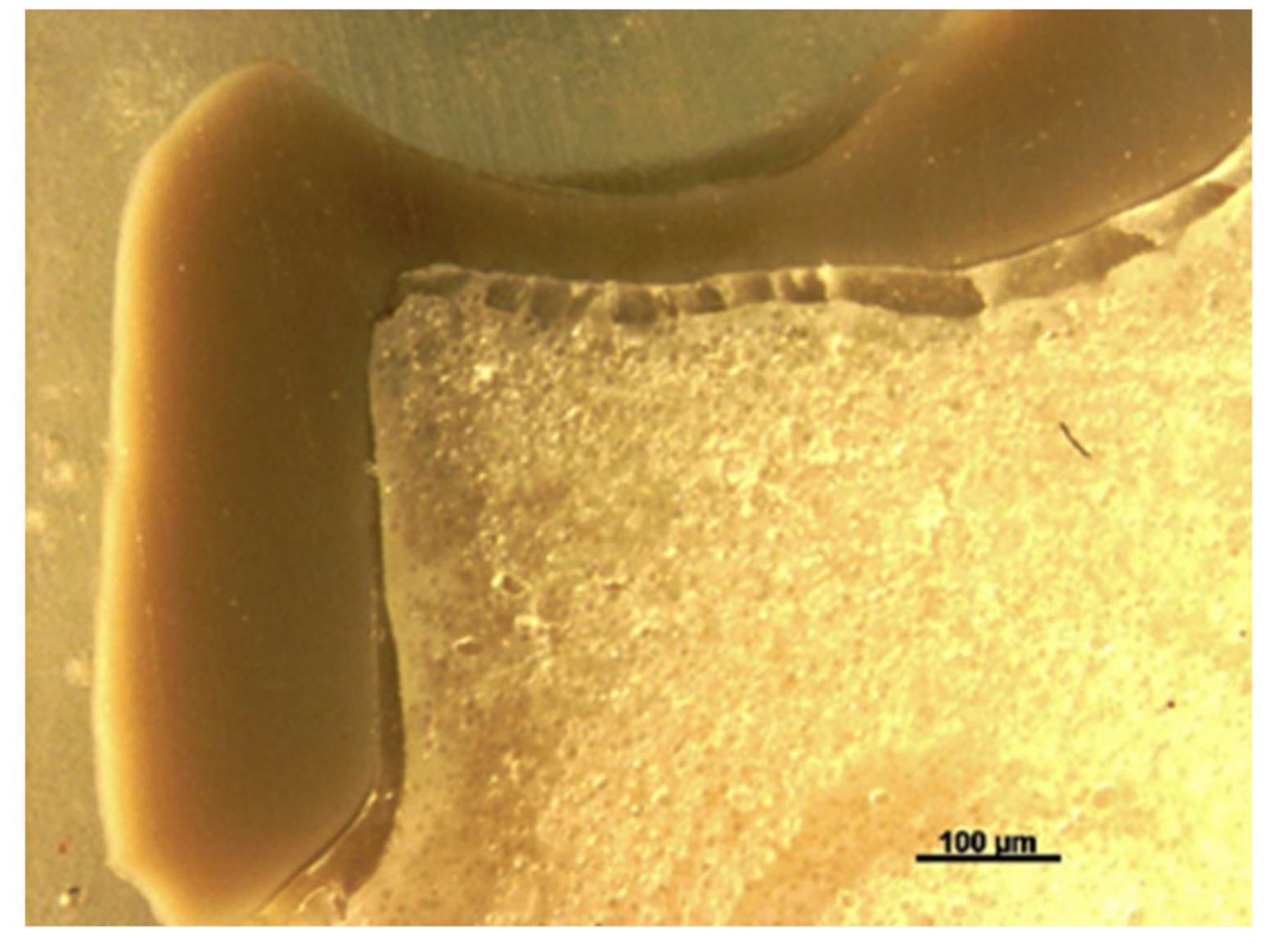 Polymers 14 01001 g020 550