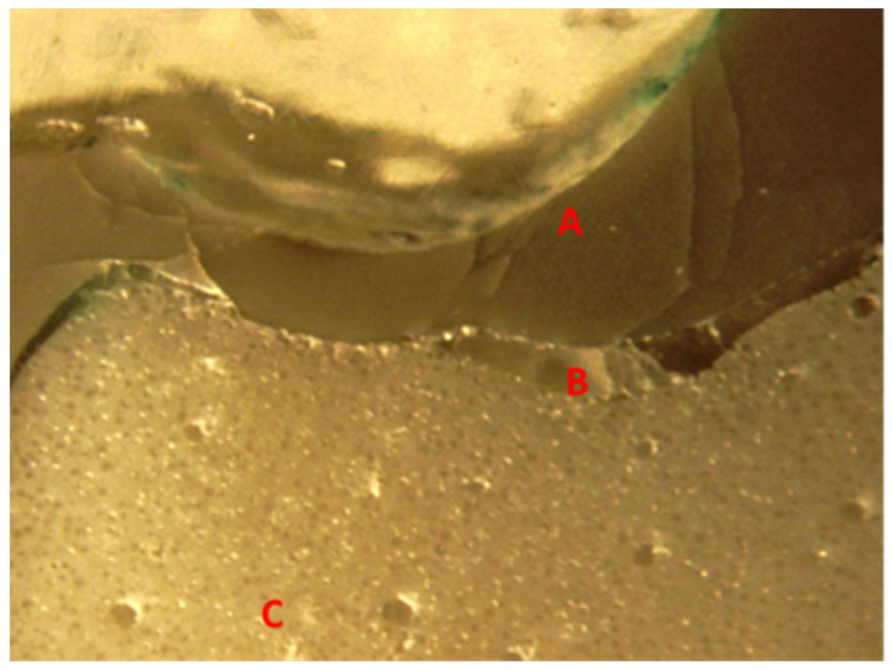 Polymers 14 01001 g021 550