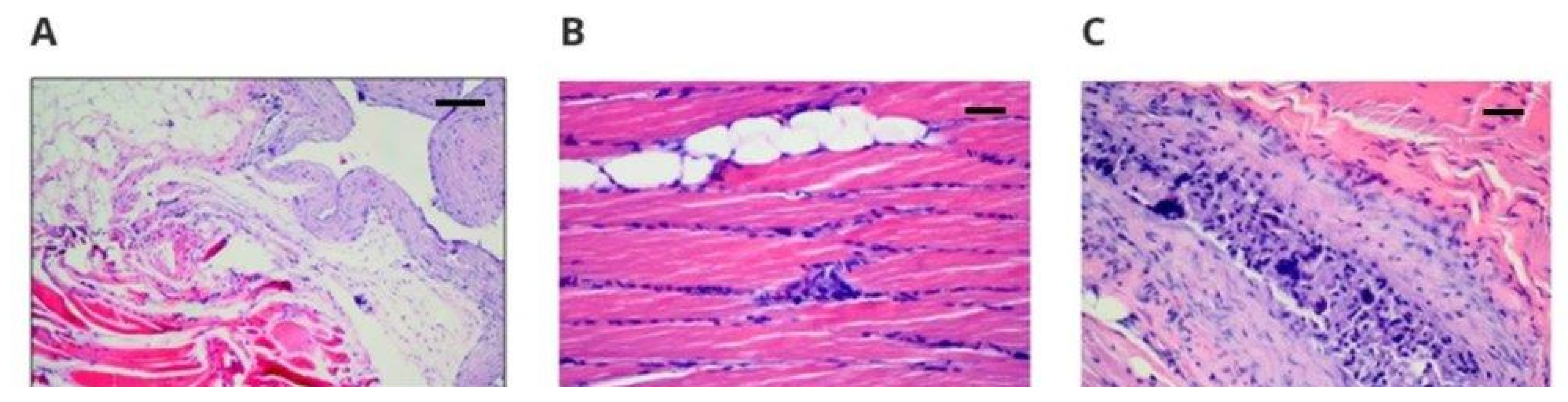 Polymers 14 01002 g002 550