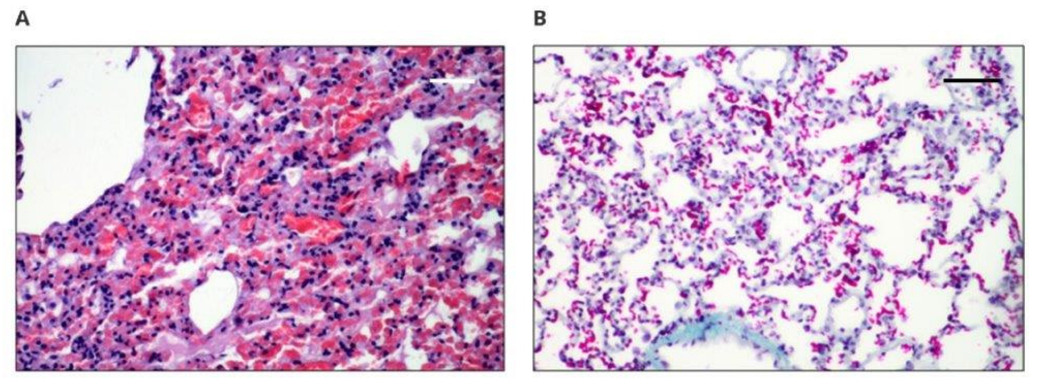 Polymers 14 01002 g006 550