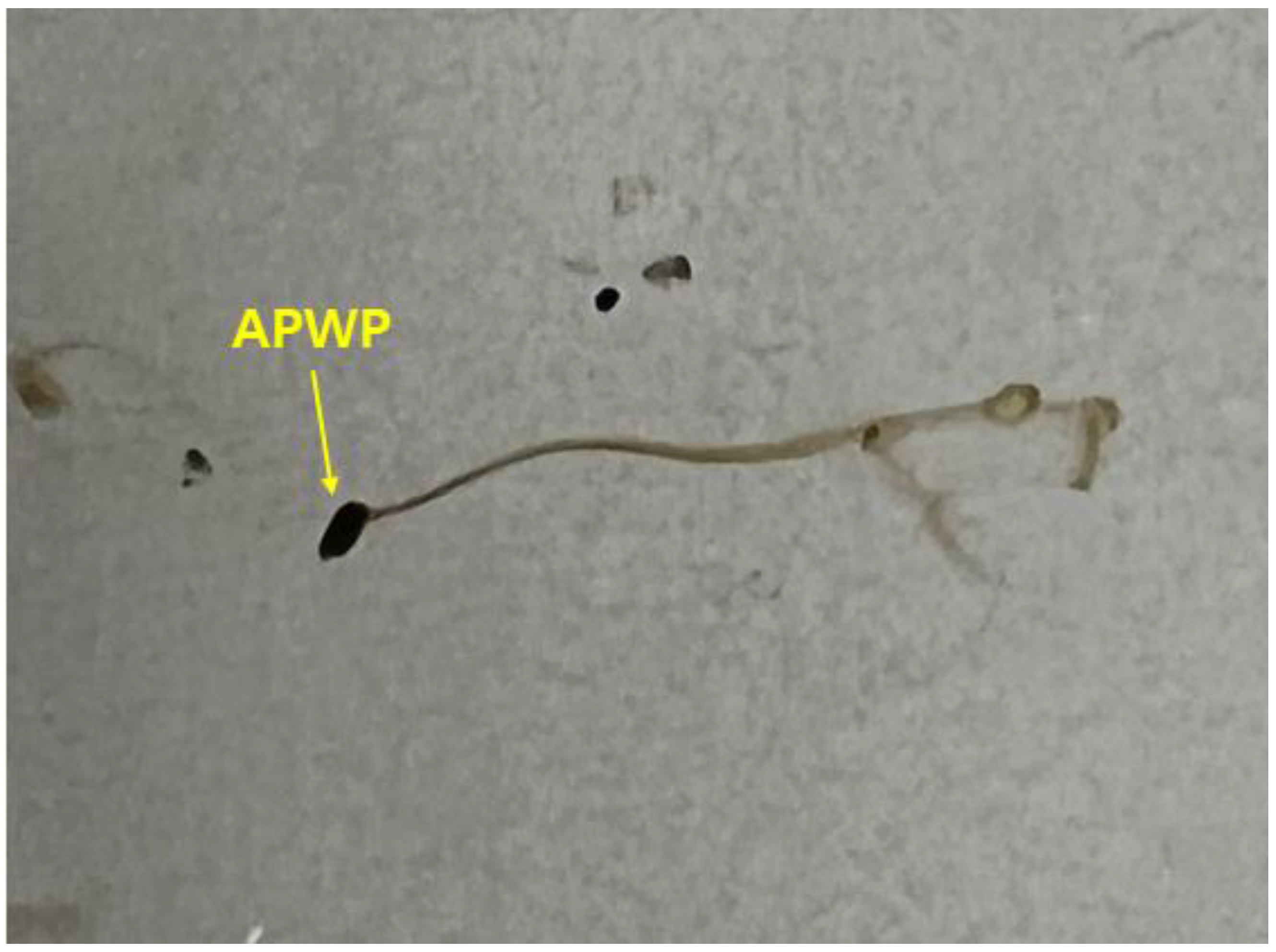 Polymers 14 01005 g003 550