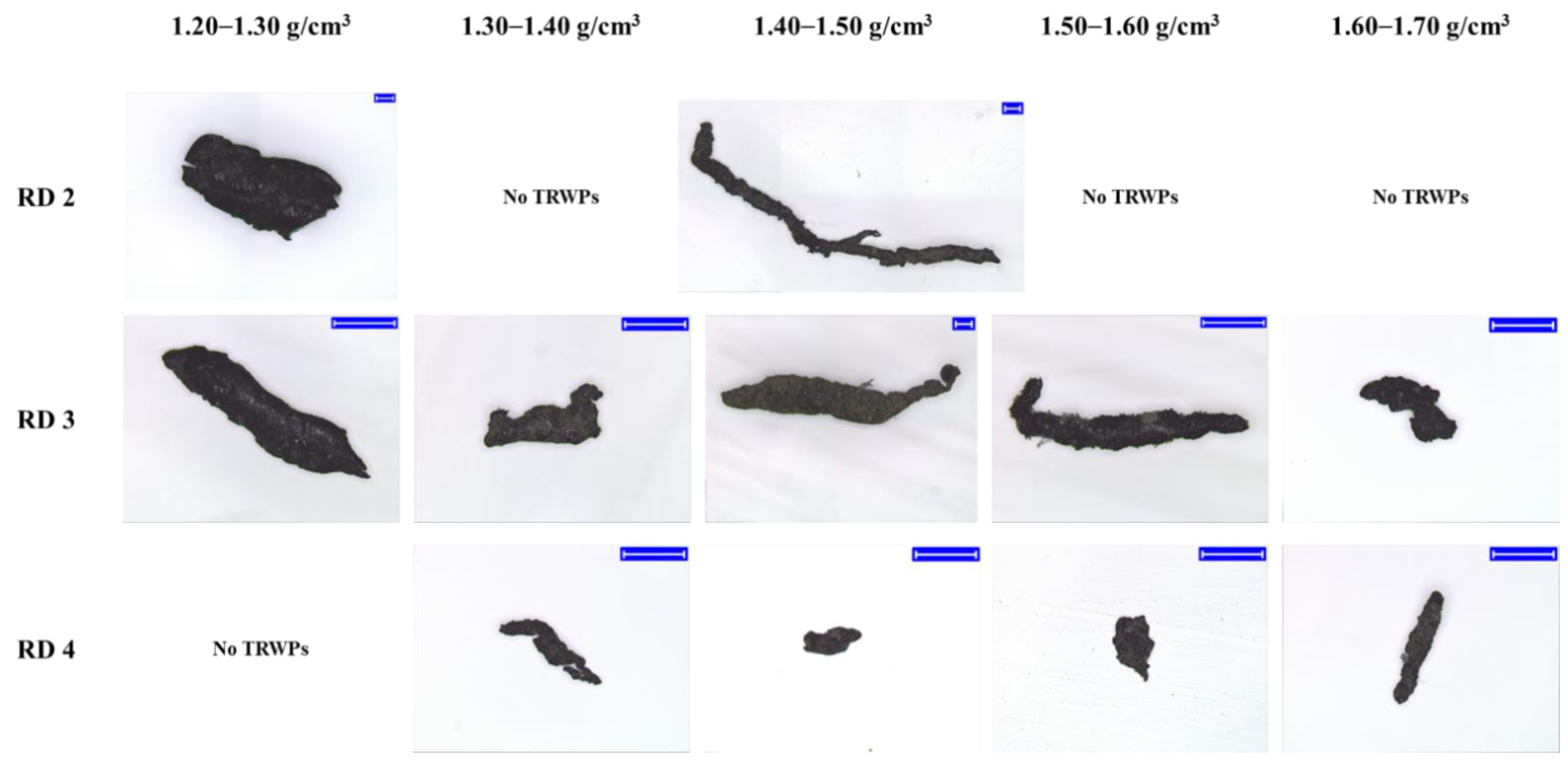 Polymers 14 01005 g008 550